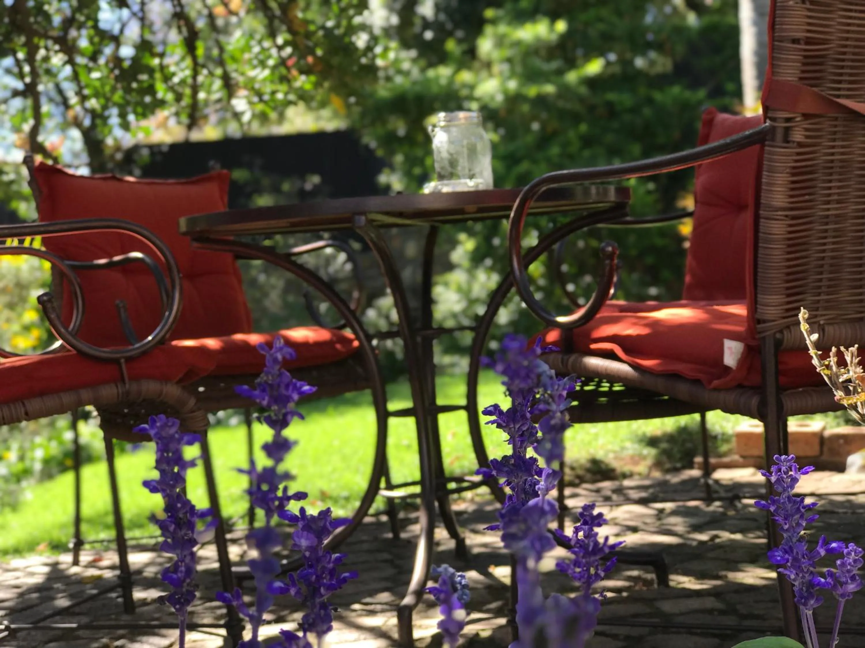 Garden in Claires of Sandton Luxury Guest House