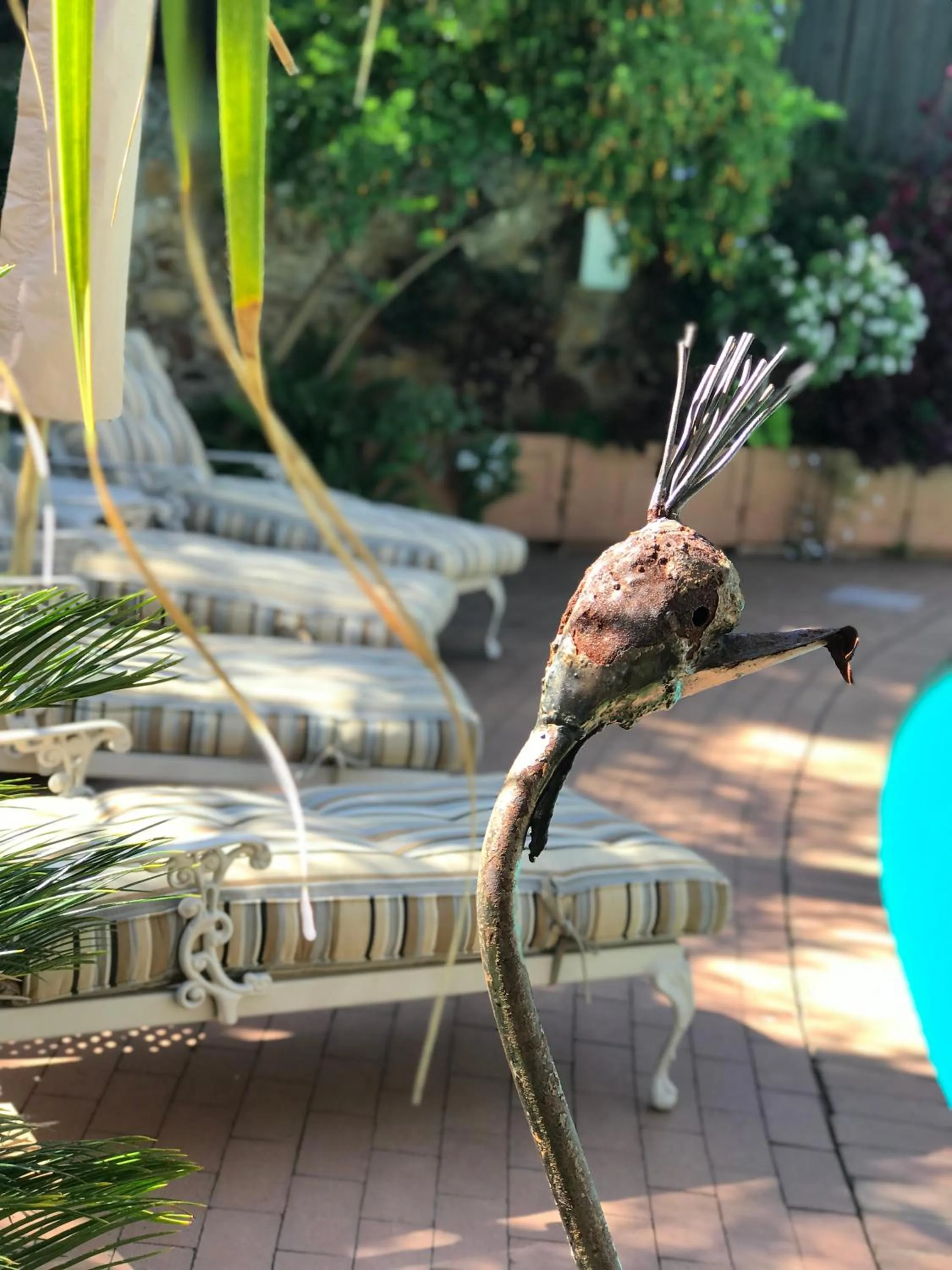 Garden in Claires of Sandton Luxury Guest House