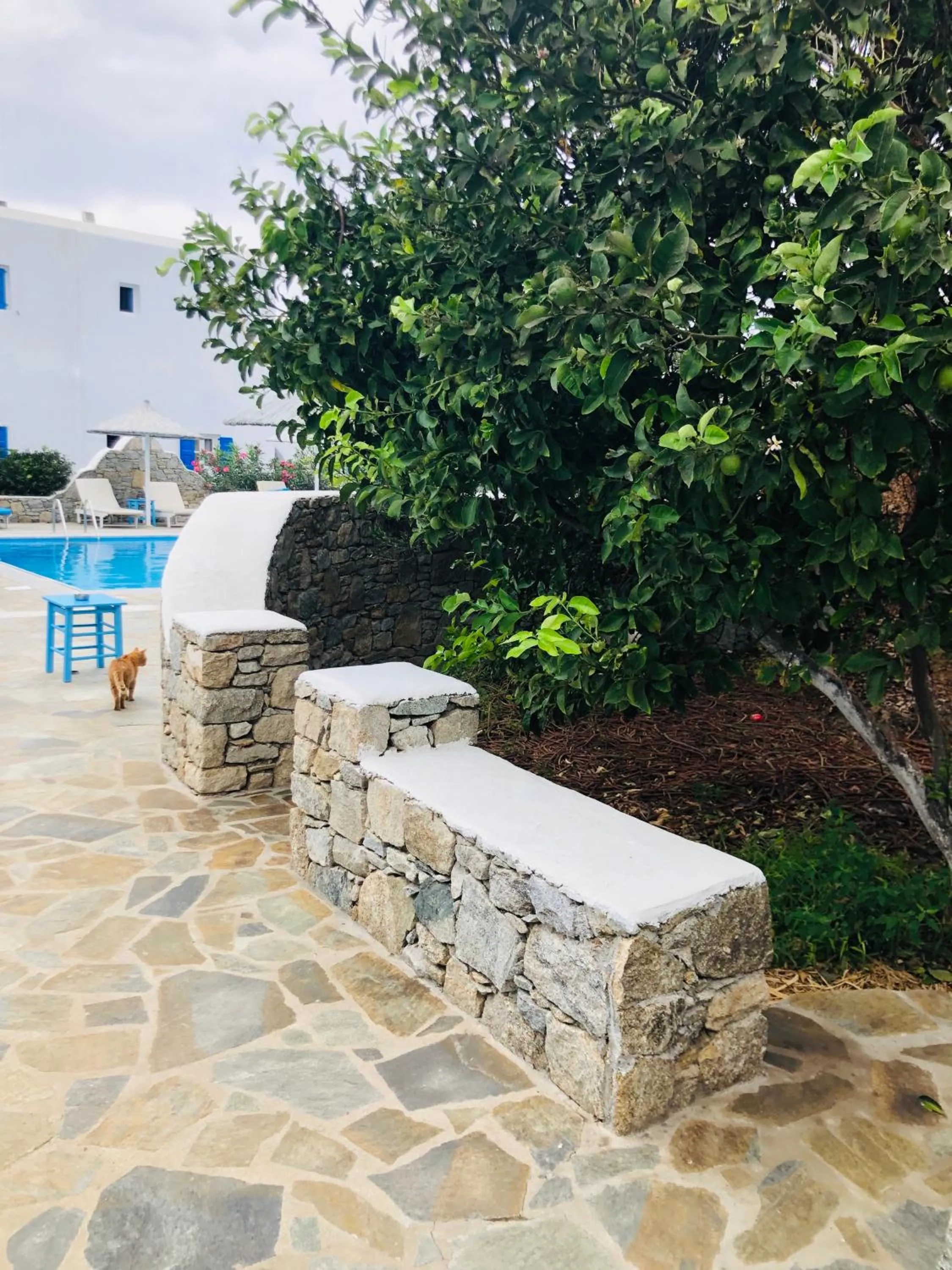 Anemos Hotel & Apartments