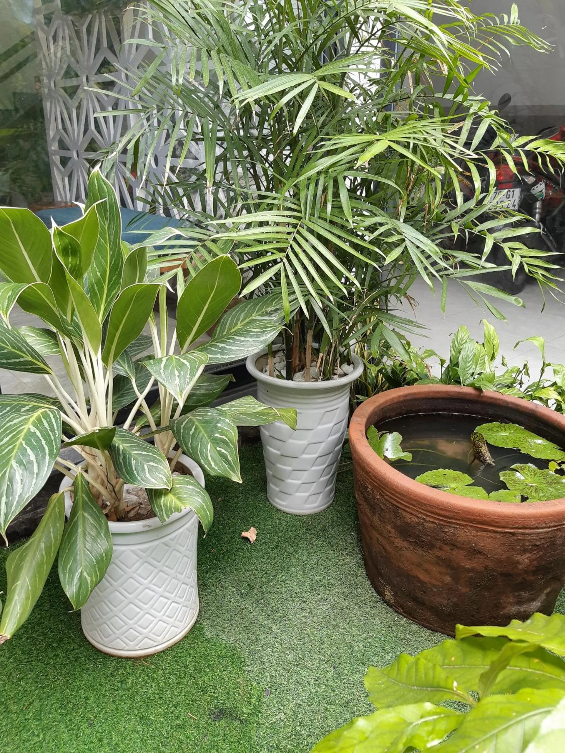 Communal lounge/ TV room in HANID Hotel