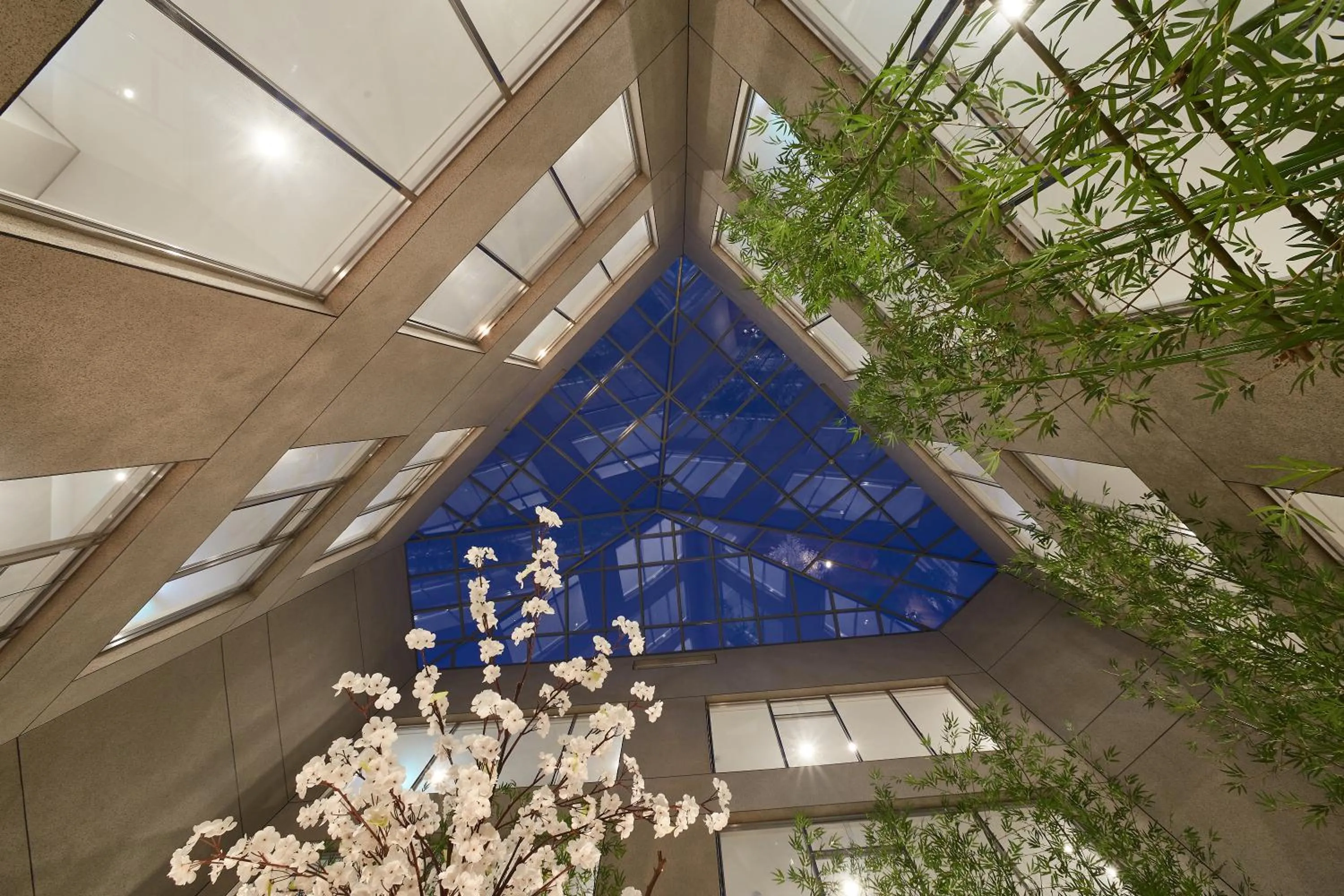 Garden in Hotel the maru