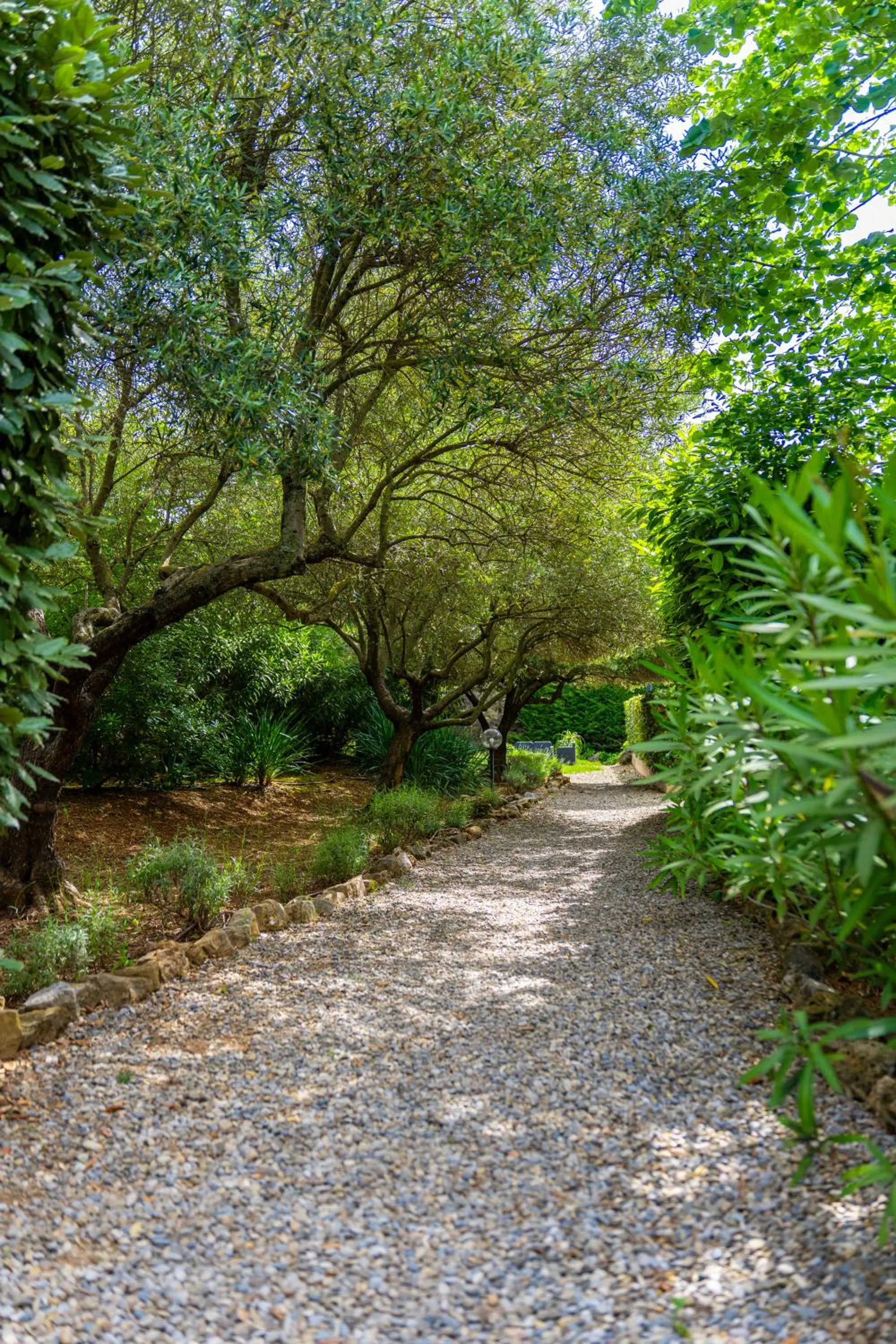 Garden in Hotel Les Oliviers