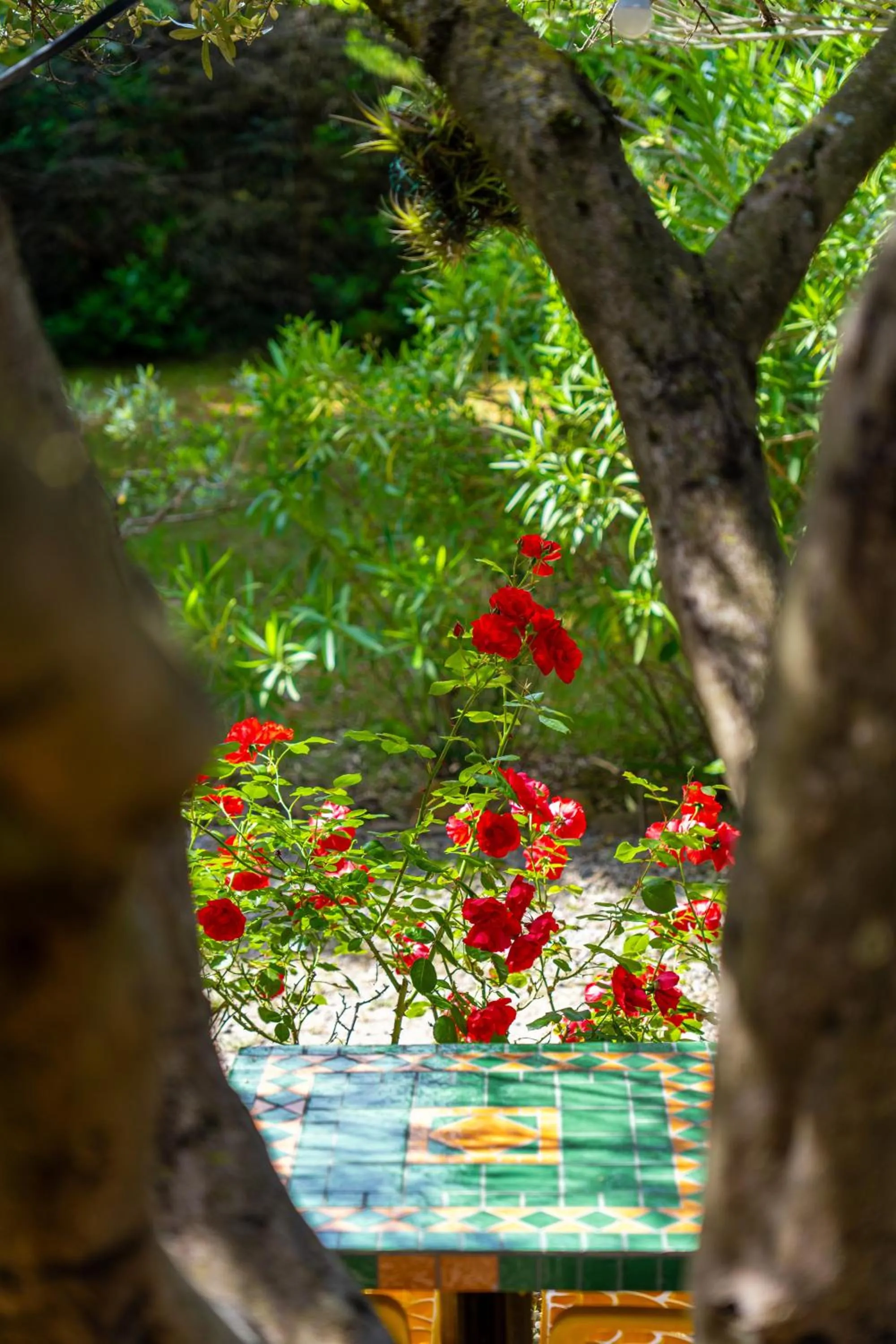 Patio in Hotel Les Oliviers