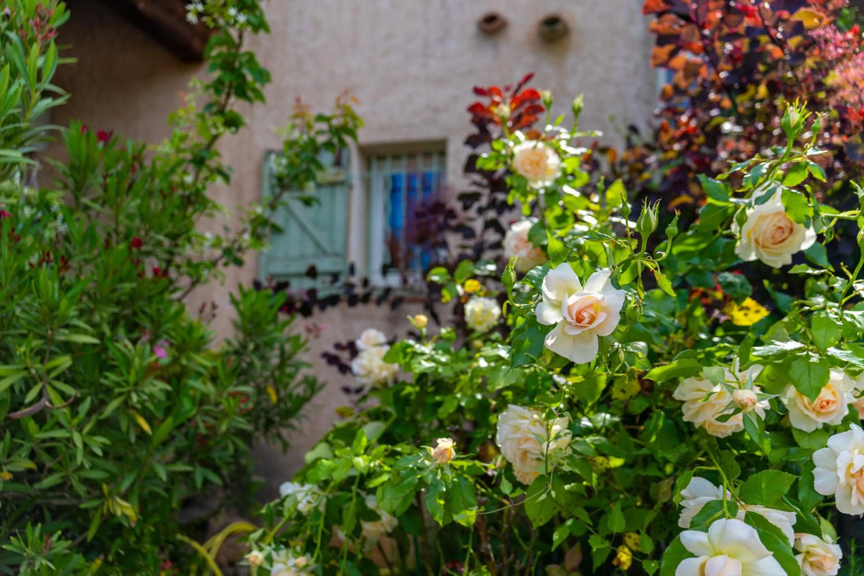 Property building in Hotel Les Oliviers