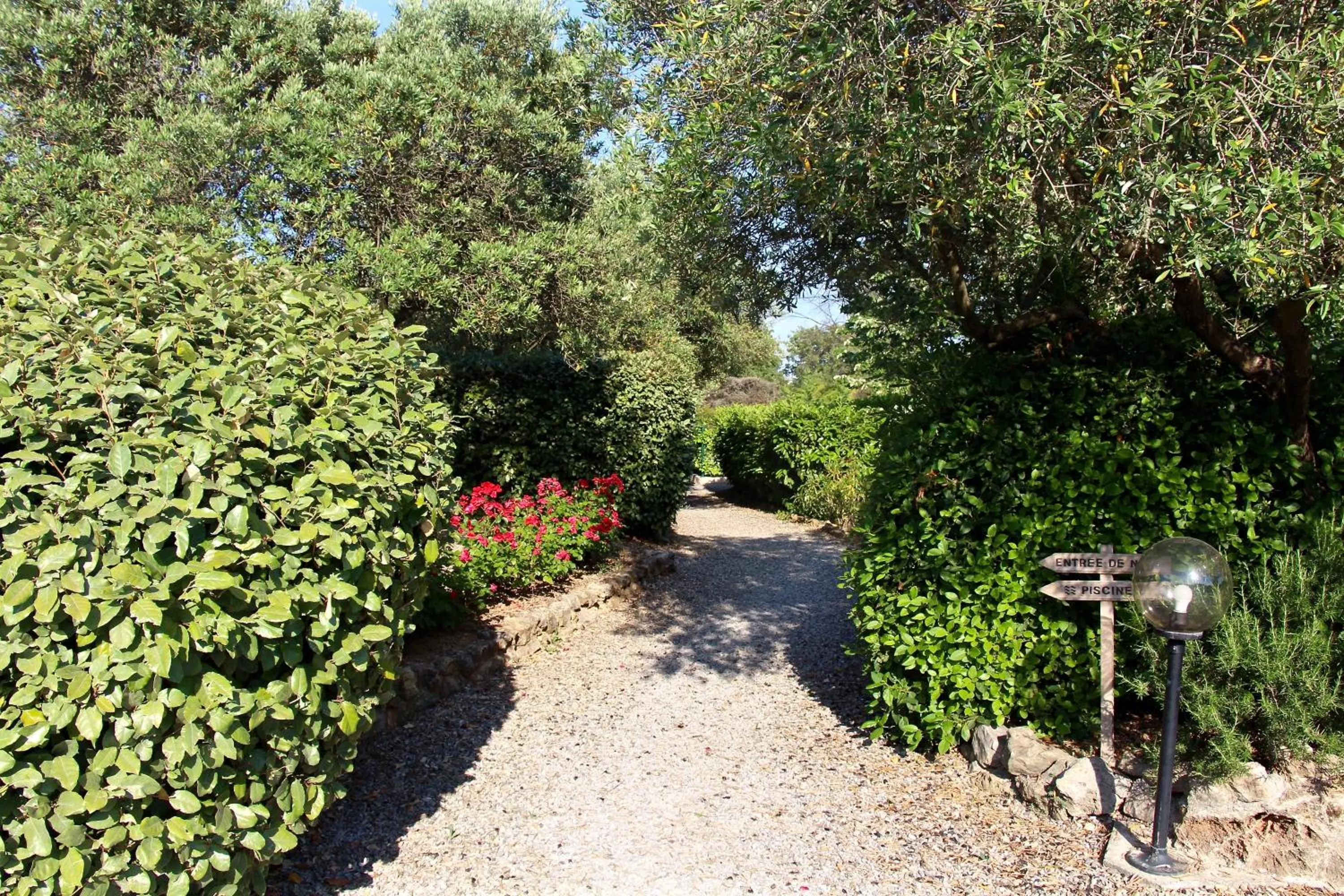 Balcony/Terrace in Hotel Les Oliviers