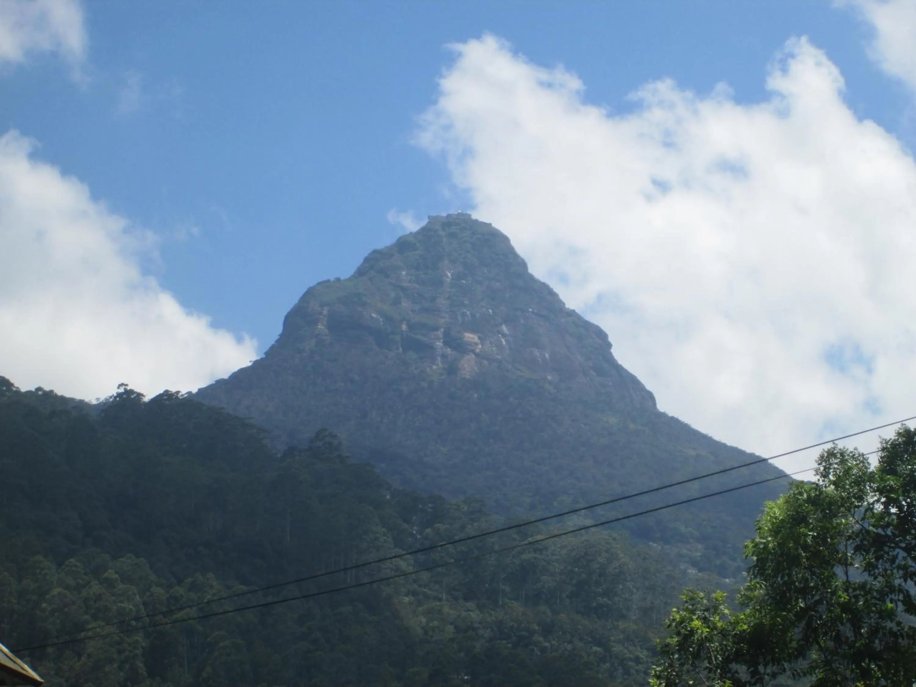 Natural landscape in Slightly Chilled