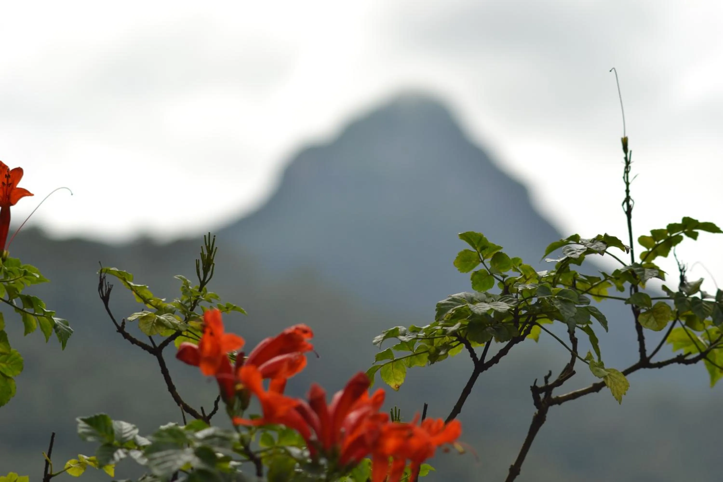 Natural landscape in Slightly Chilled