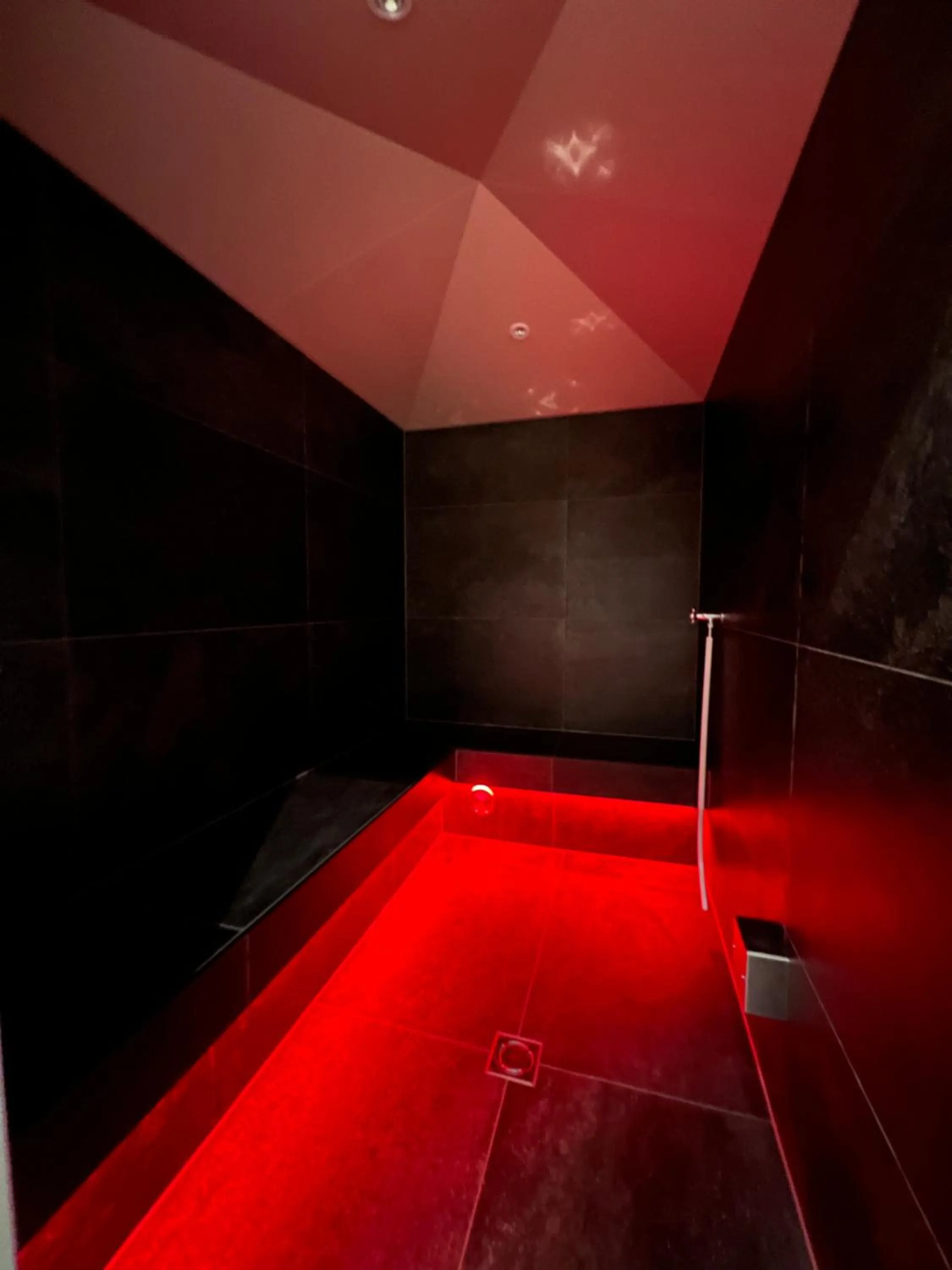 Steam room in Hotel Burgschrofn