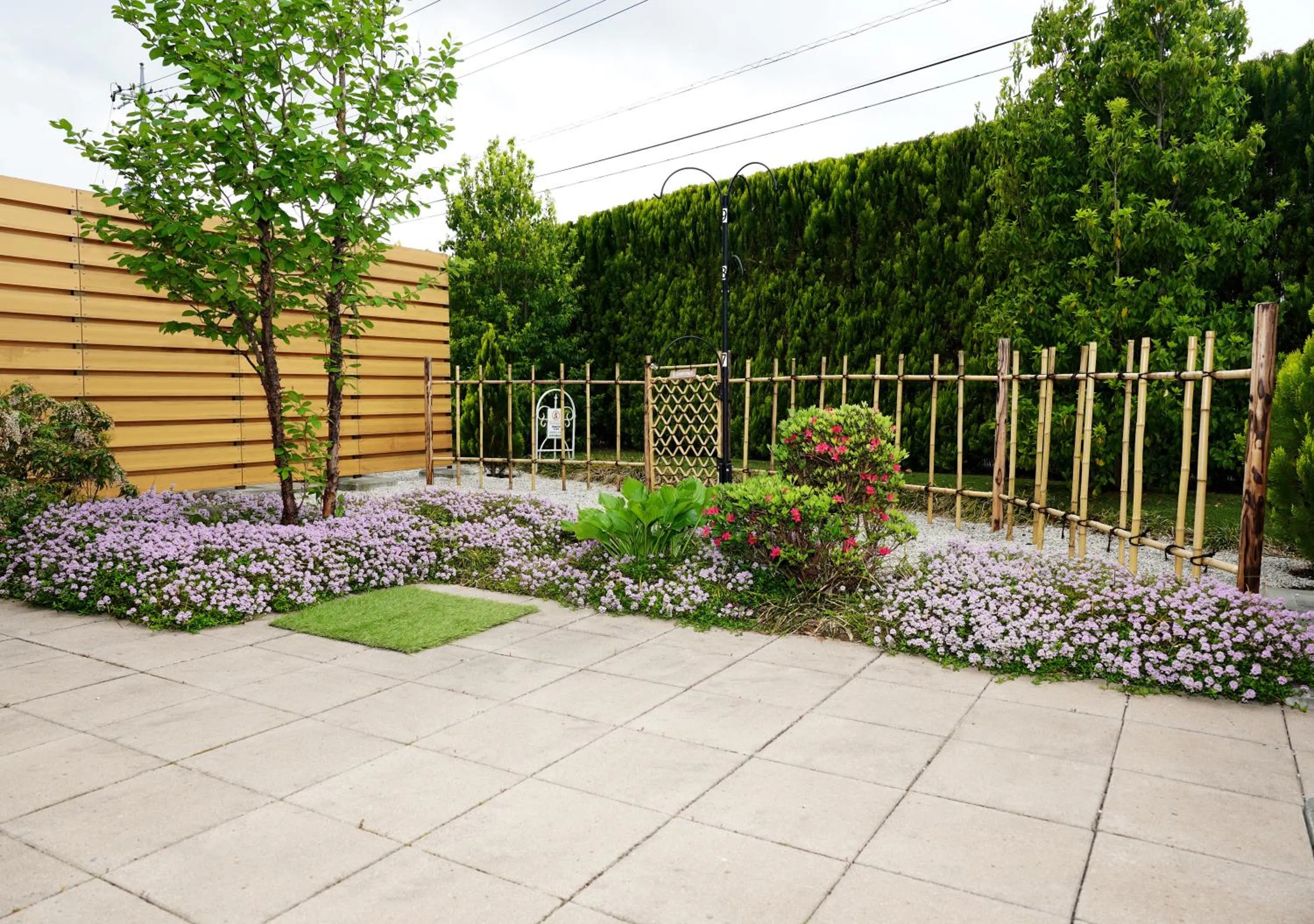 Spring in Hananoyado Yumefuji