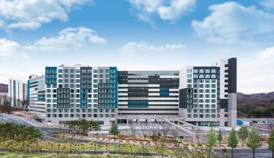 Pyeongchang The White Hotel Pyeongchang The White Hotel