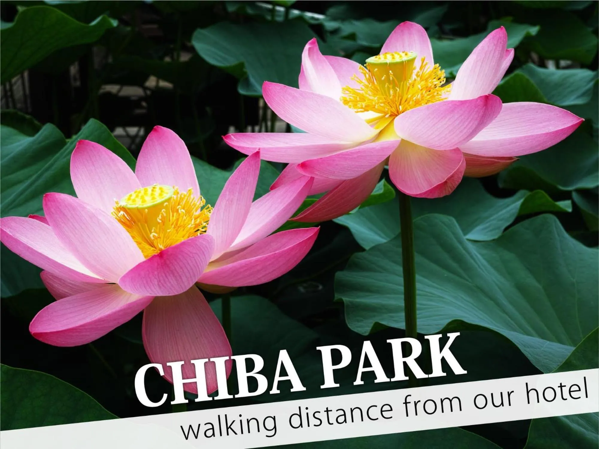 Nearby landmark in Hotel Century