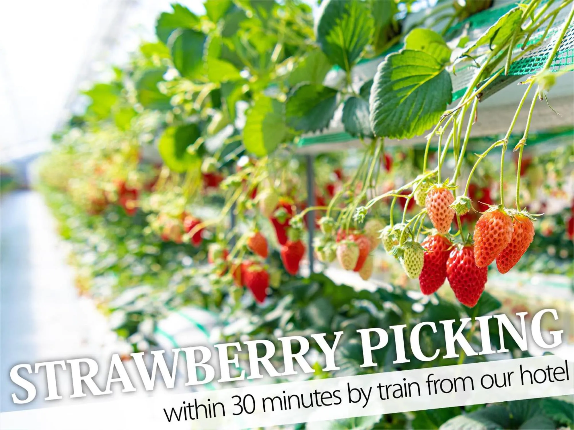 Nearby landmark in Hotel Century