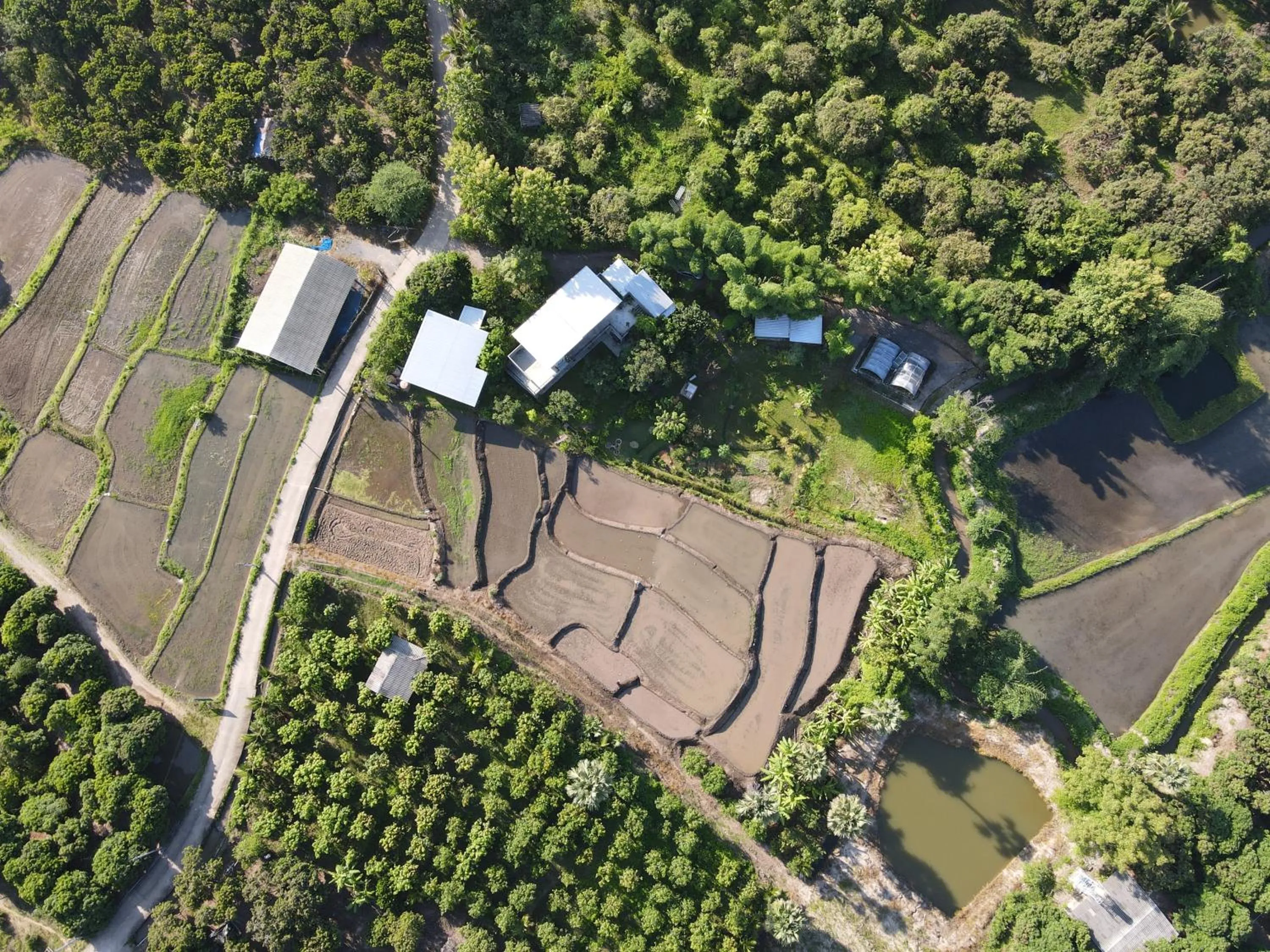 Day in Suan Sook Homestay