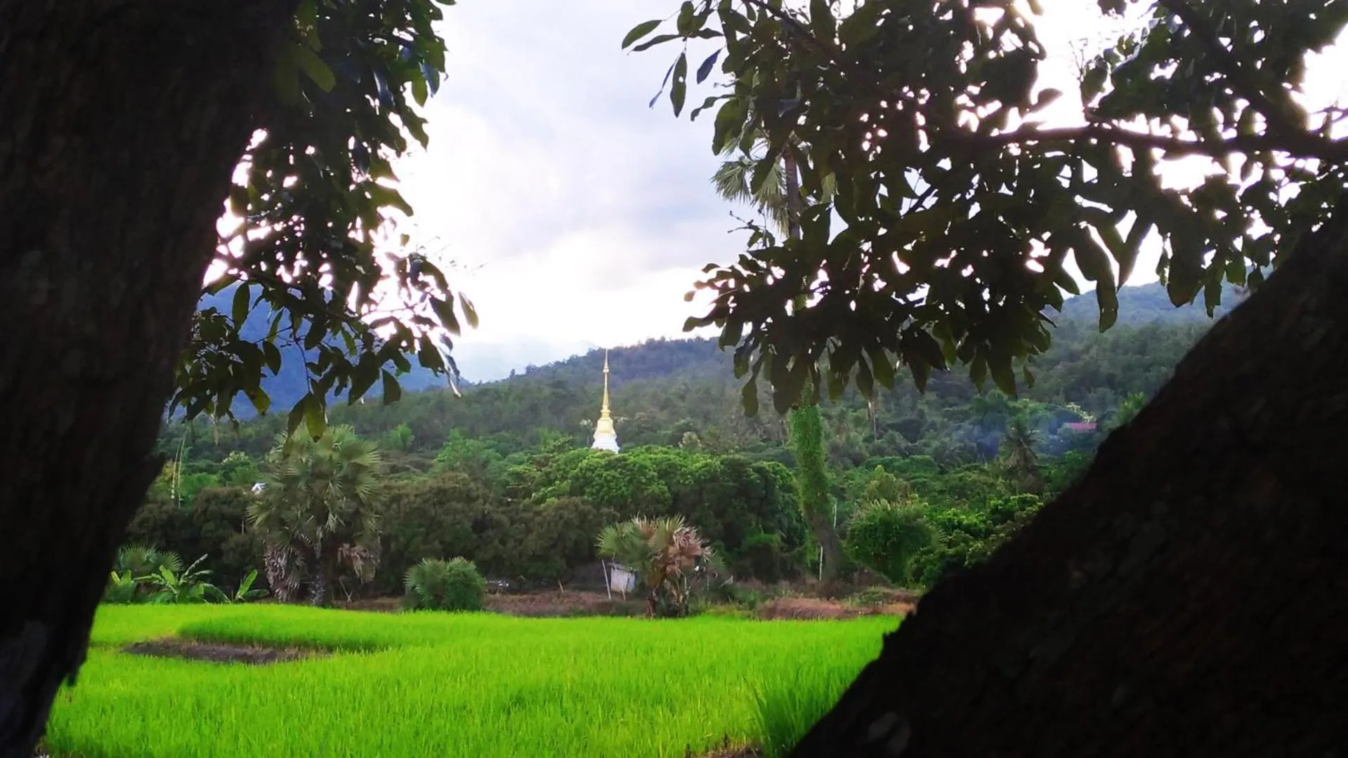 Natural landscape in Suan Sook Homestay