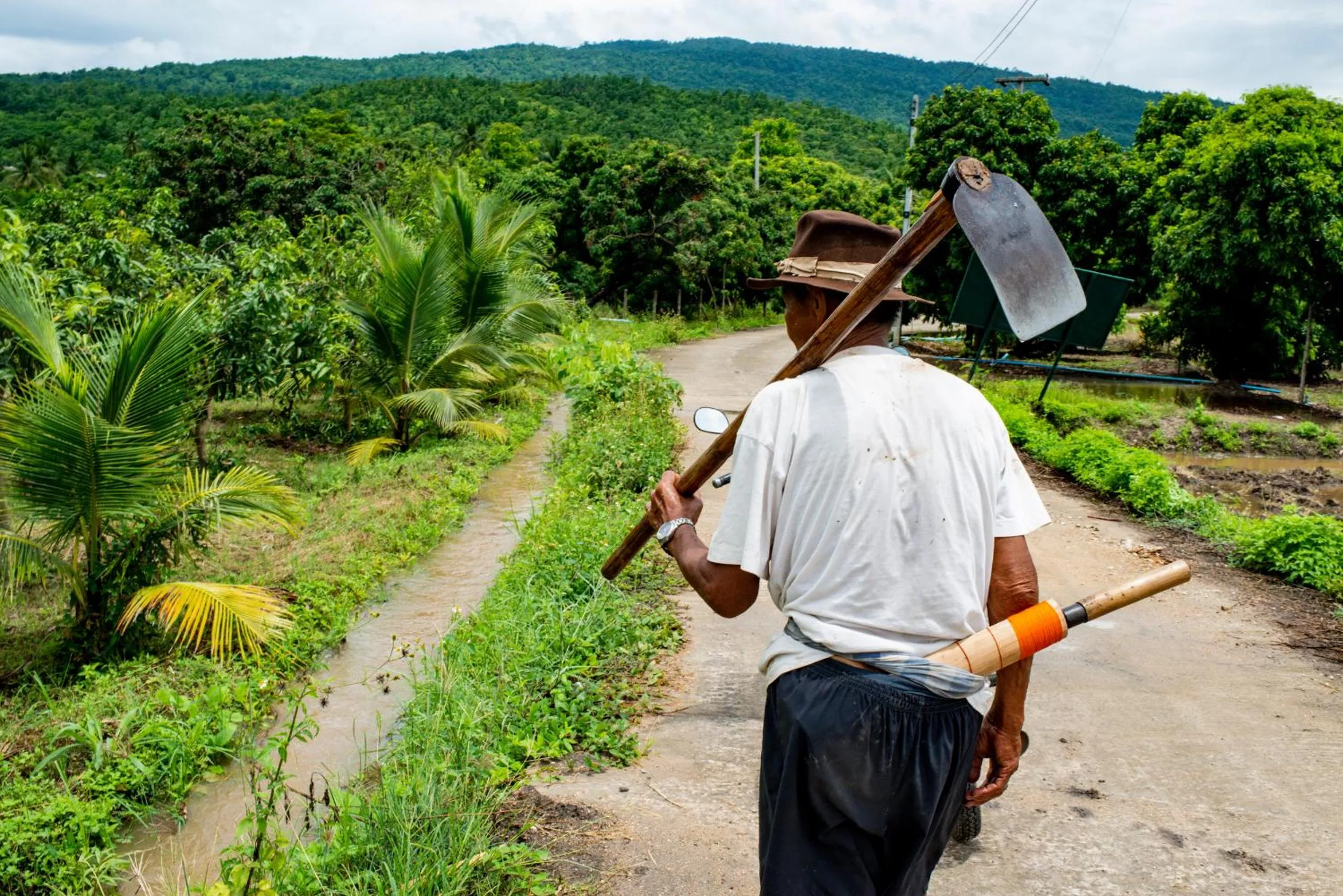 Neighbourhood in Suan Sook Homestay