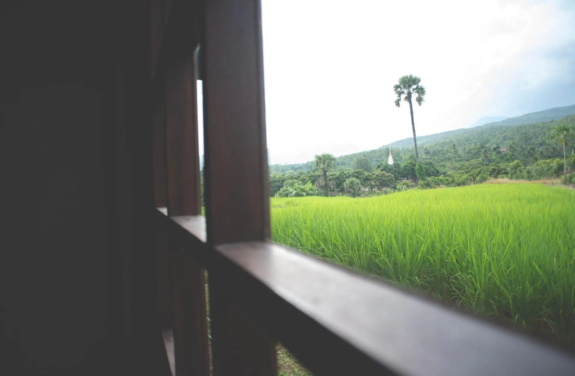 Natural landscape in Suan Sook Homestay