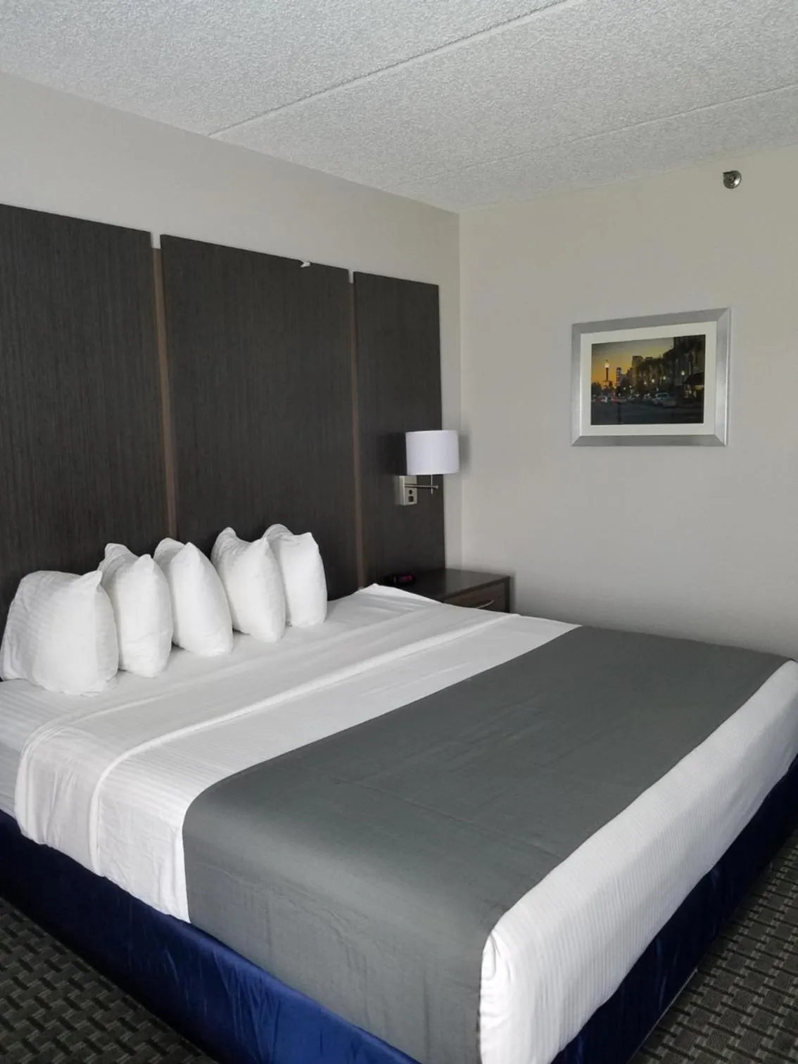 Bed in Best Western Ocala Park Centre
