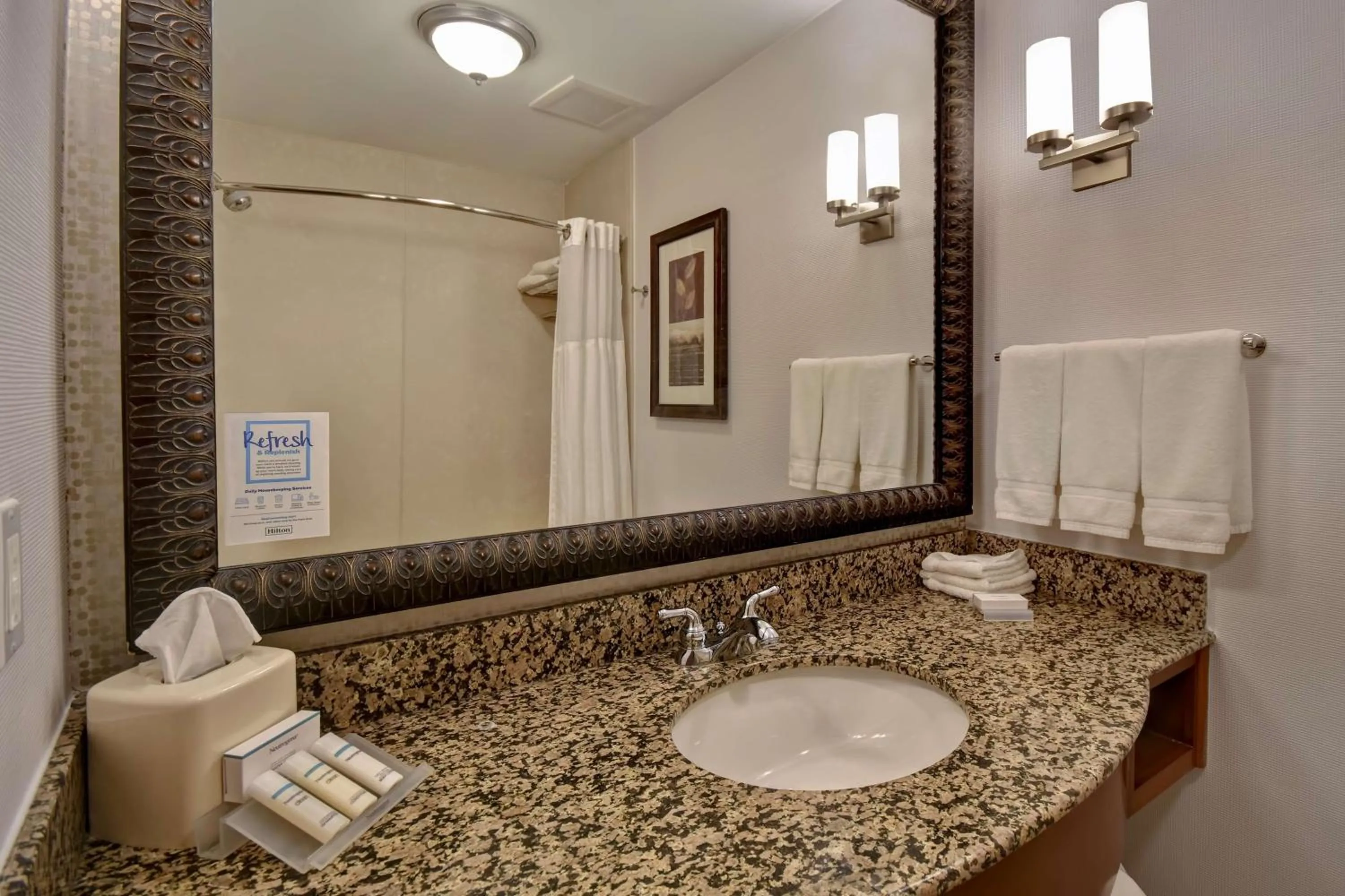 Bathroom in Hilton Garden Inn Twin Falls