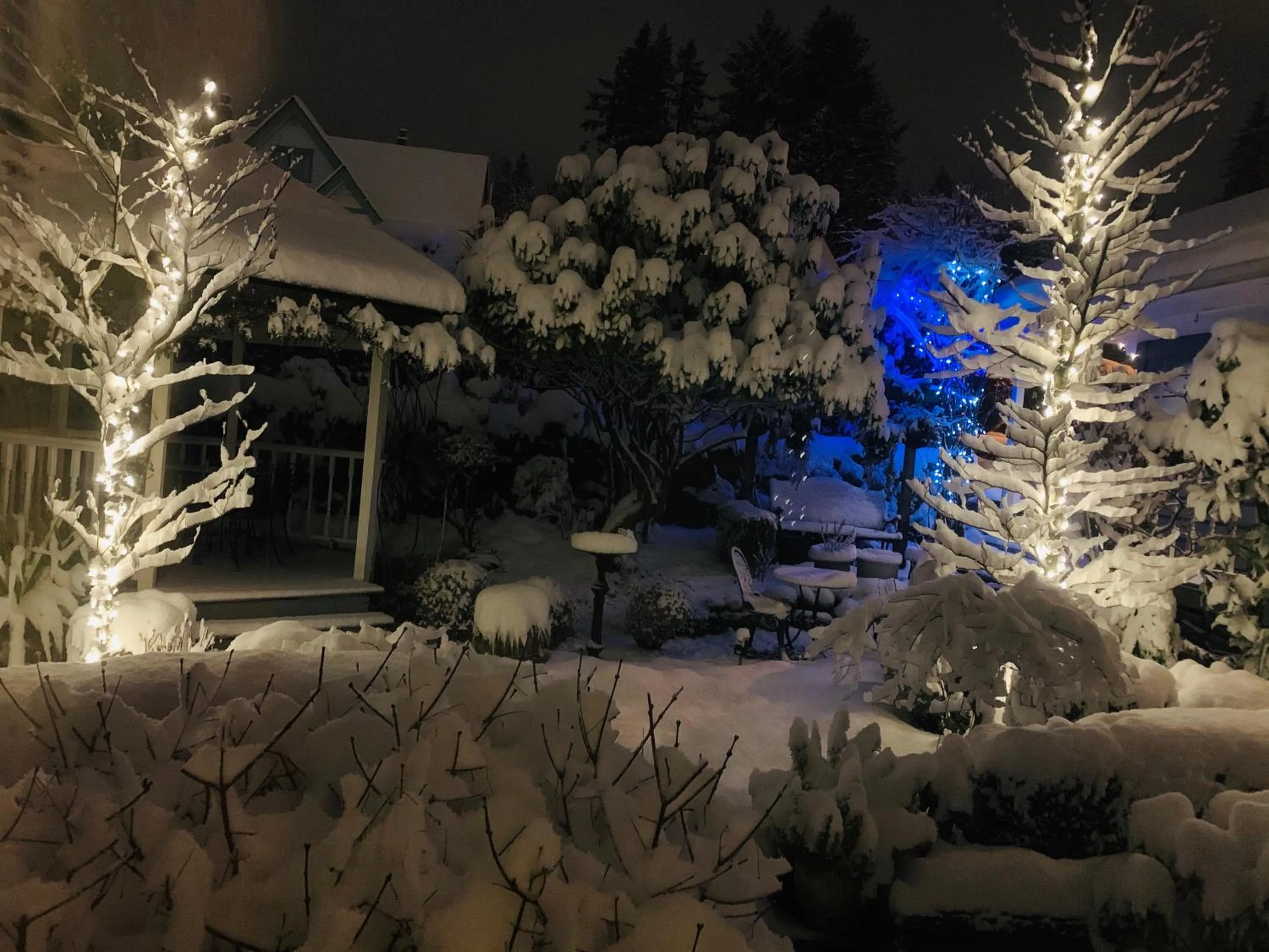 Winter in Crystal's View Bed & Breakfast