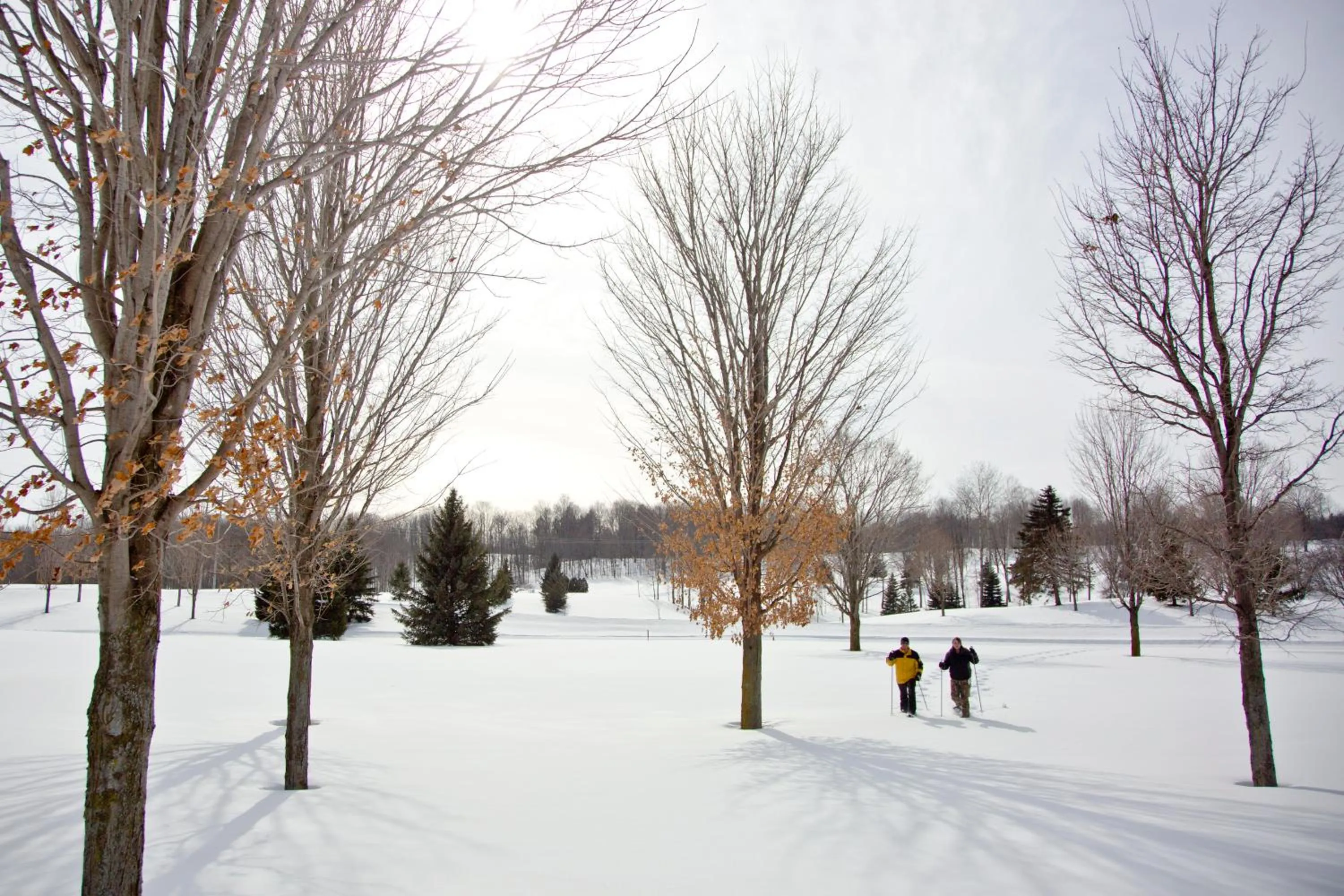 View (from property/room) in Byrncliff Golf Resort