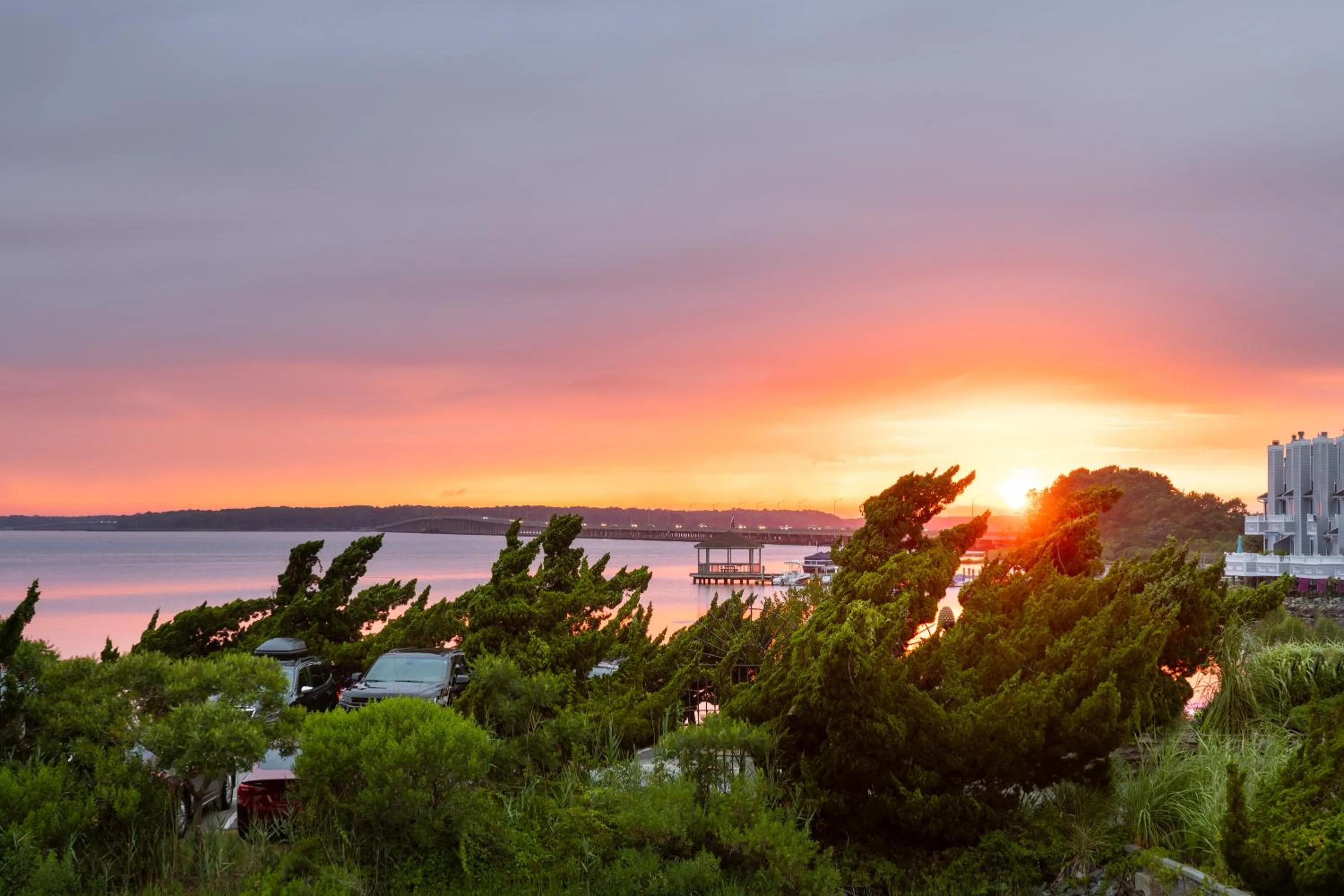 View (from property/room) in Coconut Malorie Resort Ocean City, Ascend Collection Hotel
