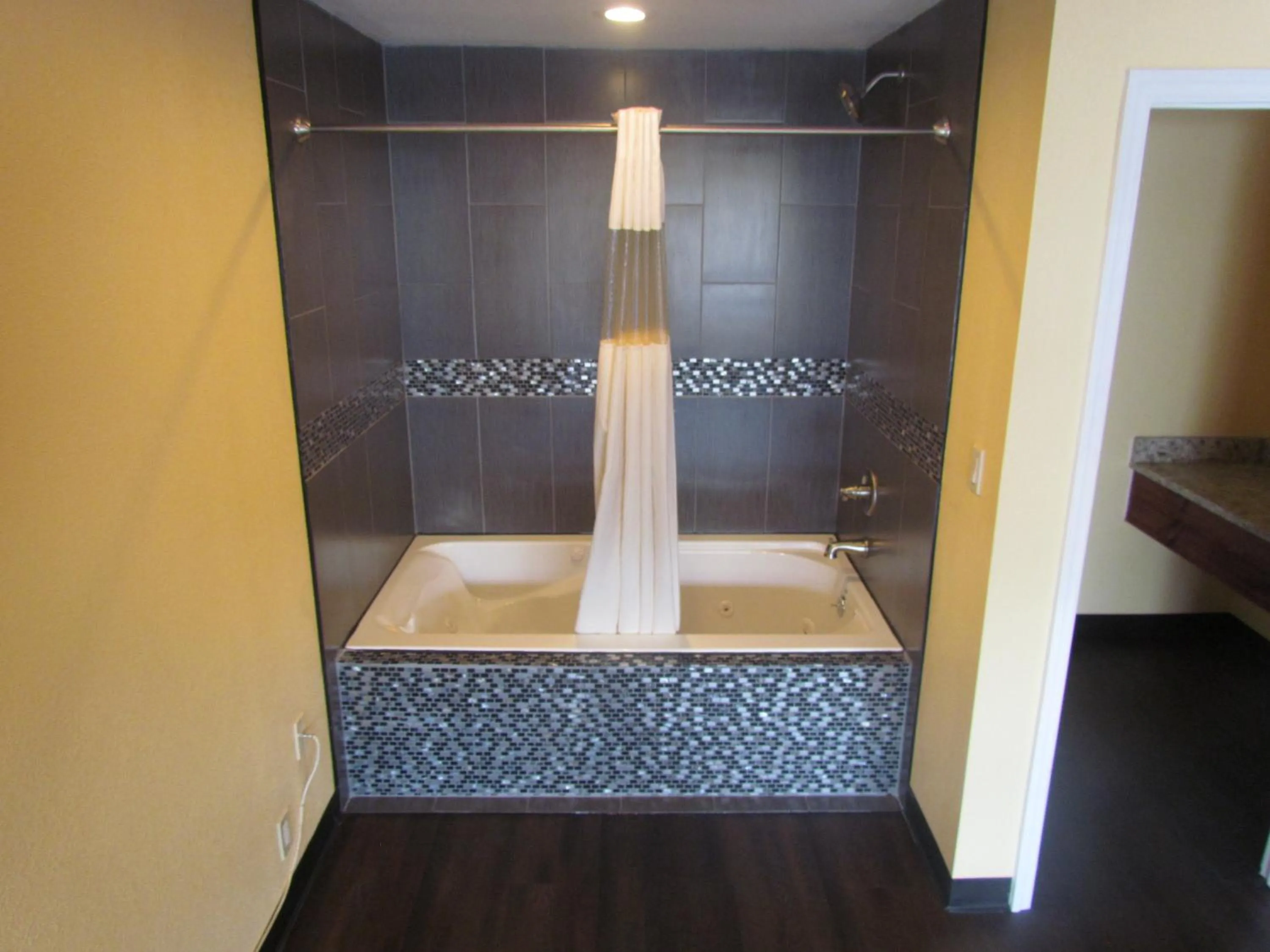 Shower in Red Carpet Inn - Augusta