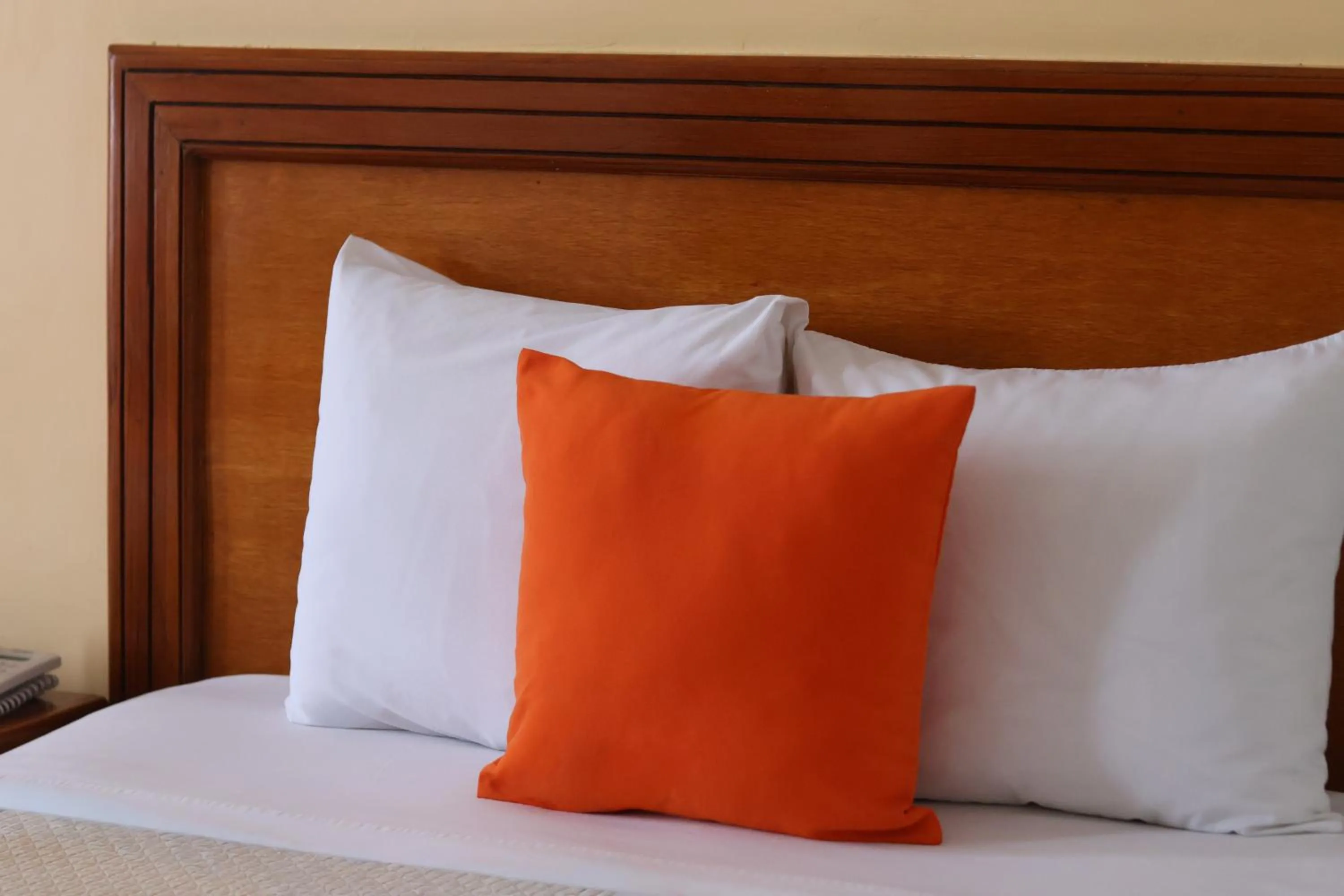 Bed in Hotel Báez Carrizal