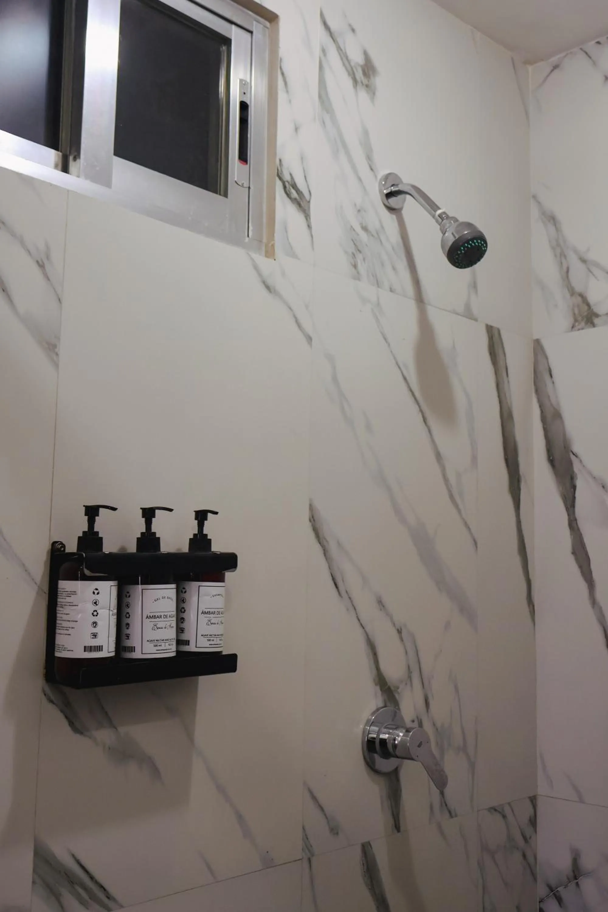 Shower in Hotel Báez Carrizal