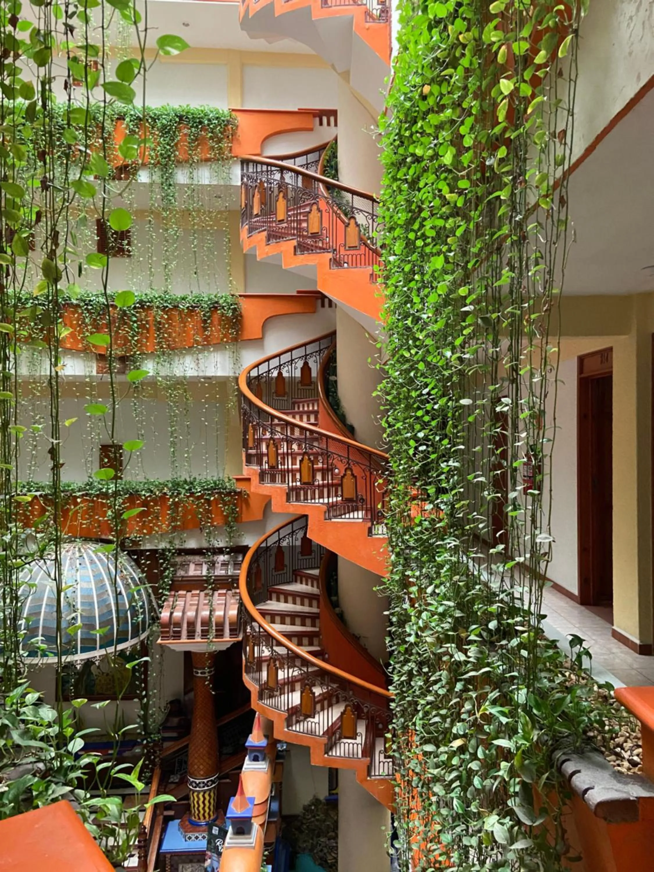 Garden in Hotel Báez Carrizal