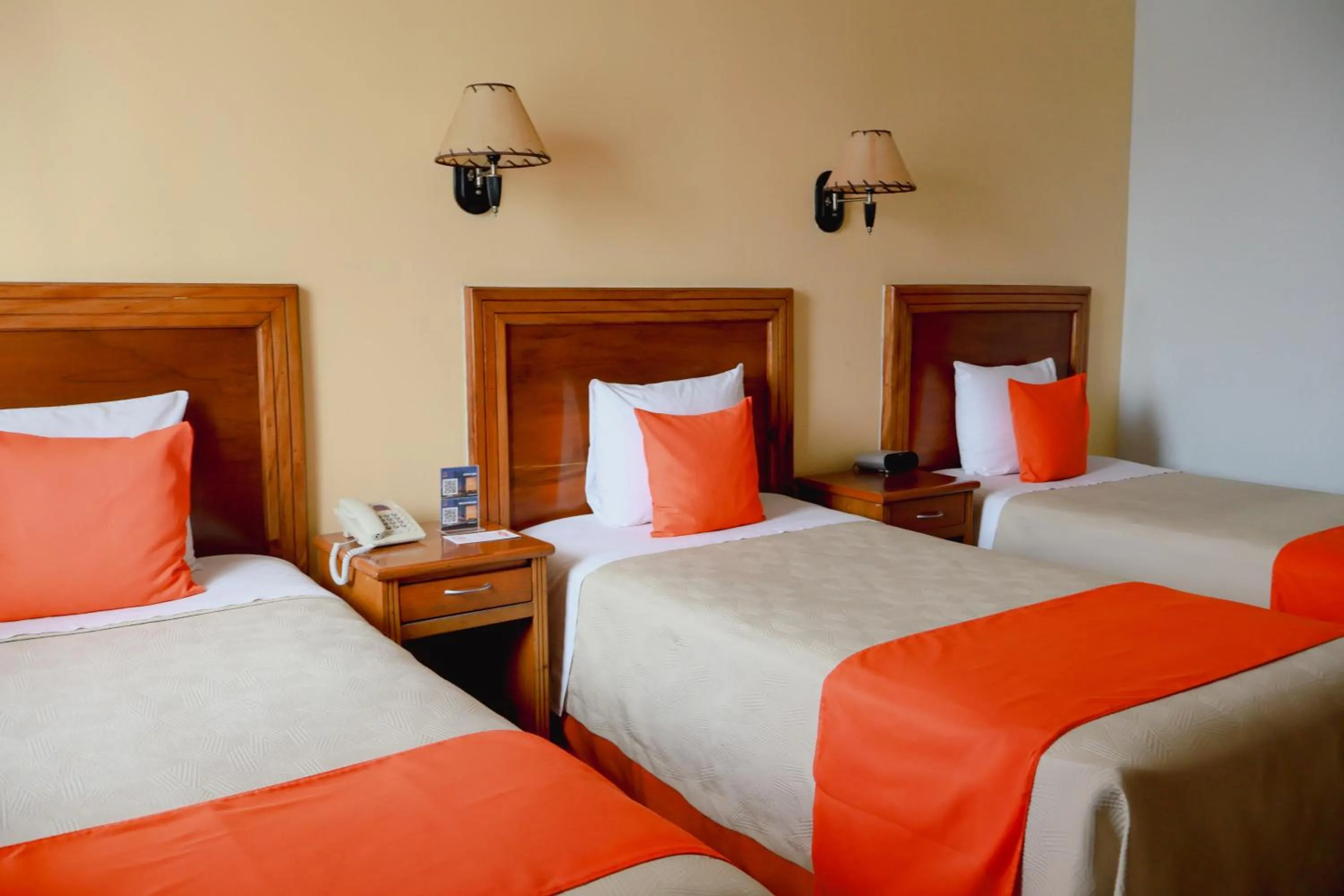 Bed in Hotel Báez Carrizal