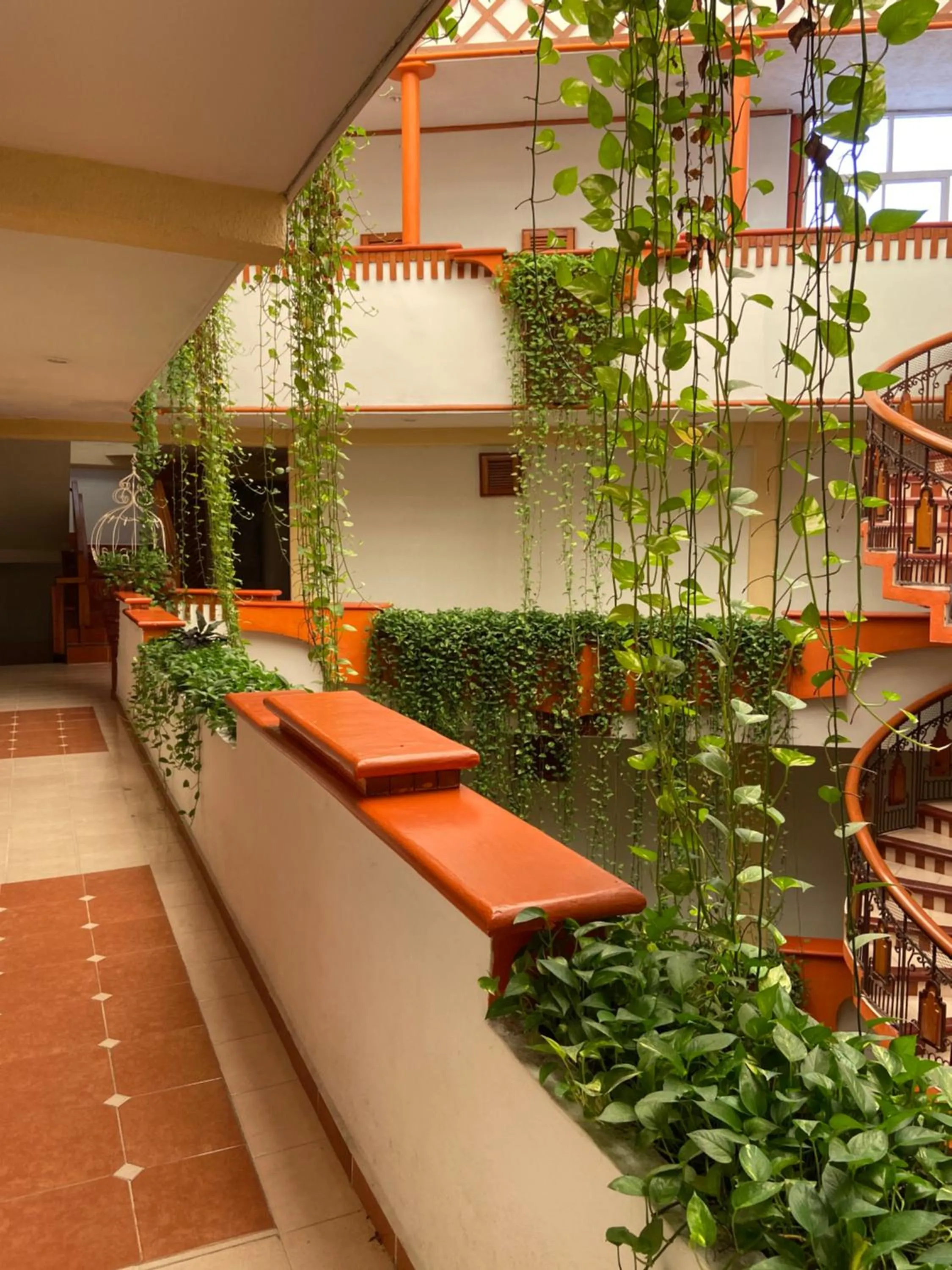 Area and facilities in Hotel Báez Carrizal