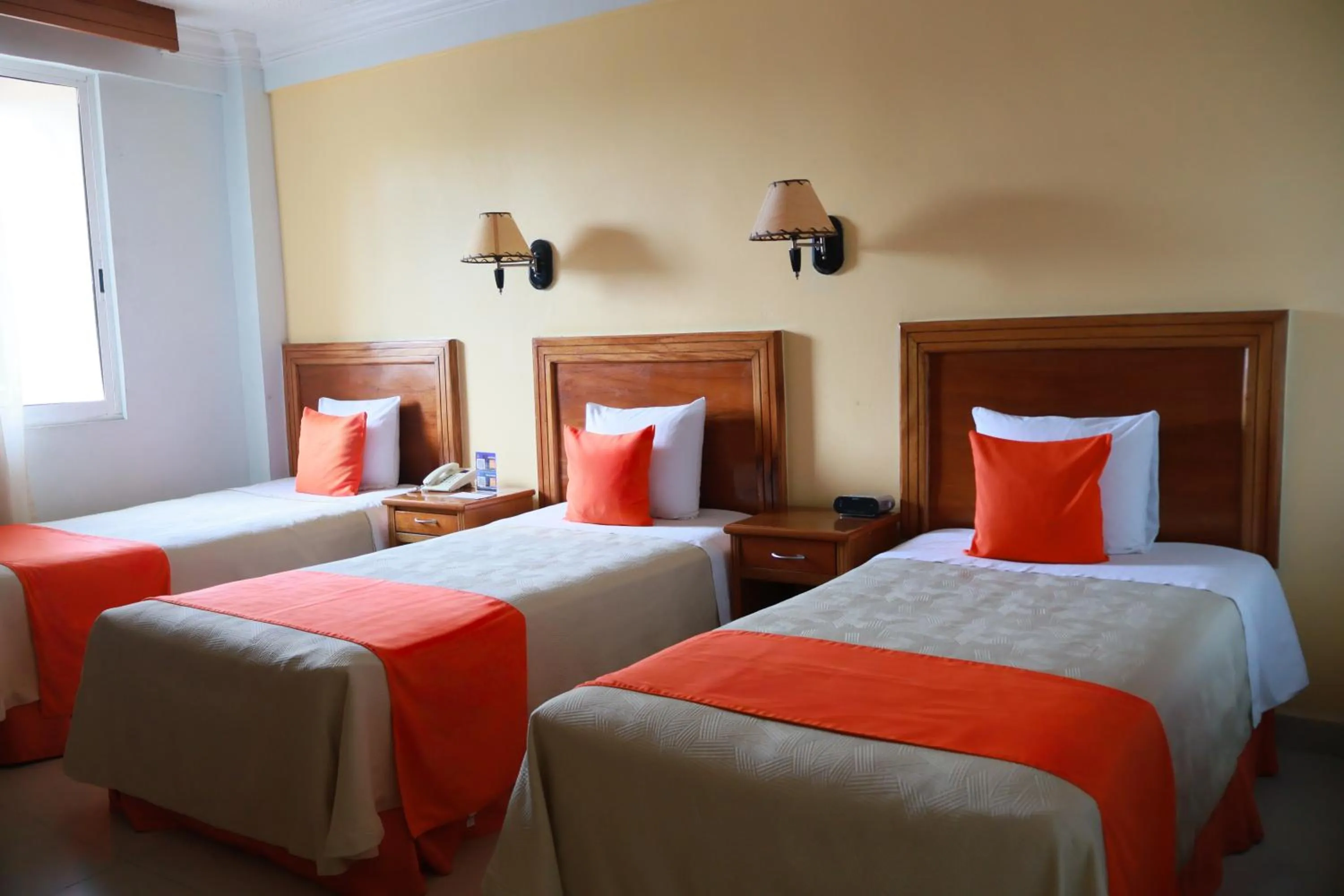 Bed in Hotel Báez Carrizal