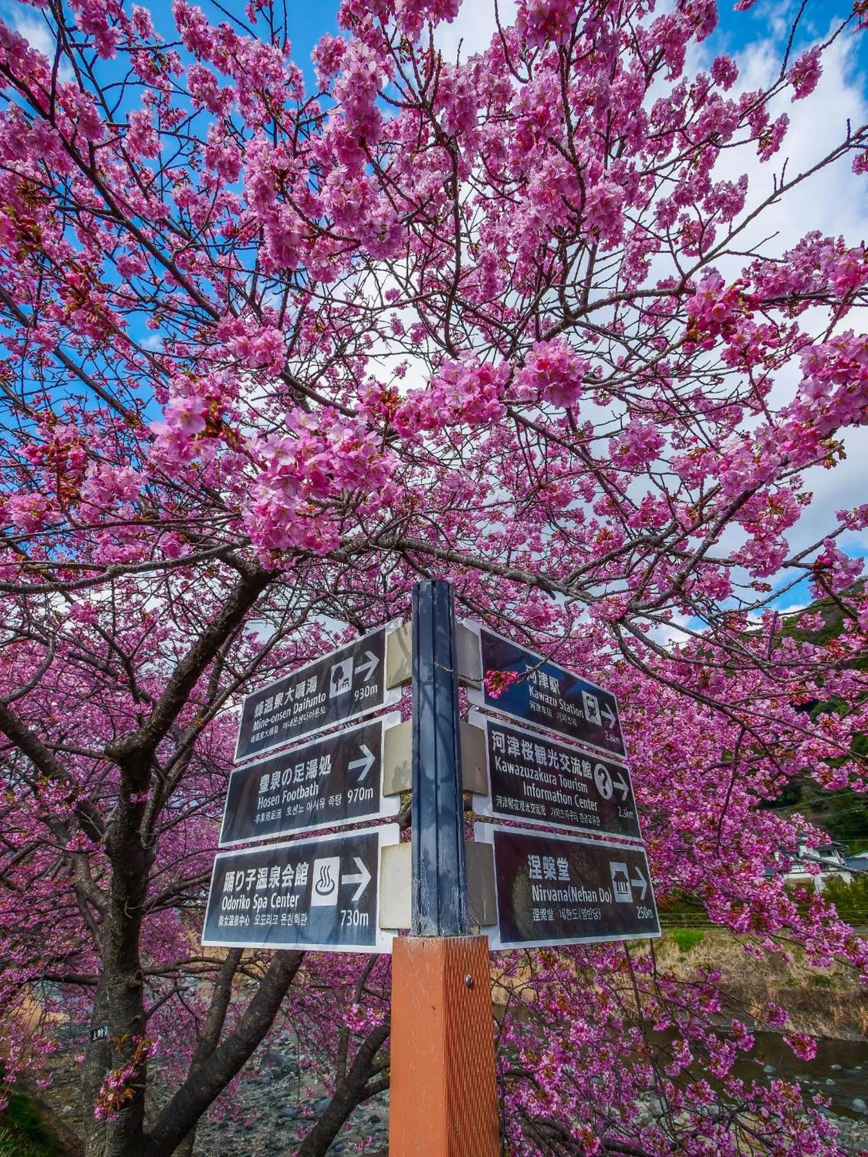 Nearby landmark in Izu Imaihama Tokyu Hotel