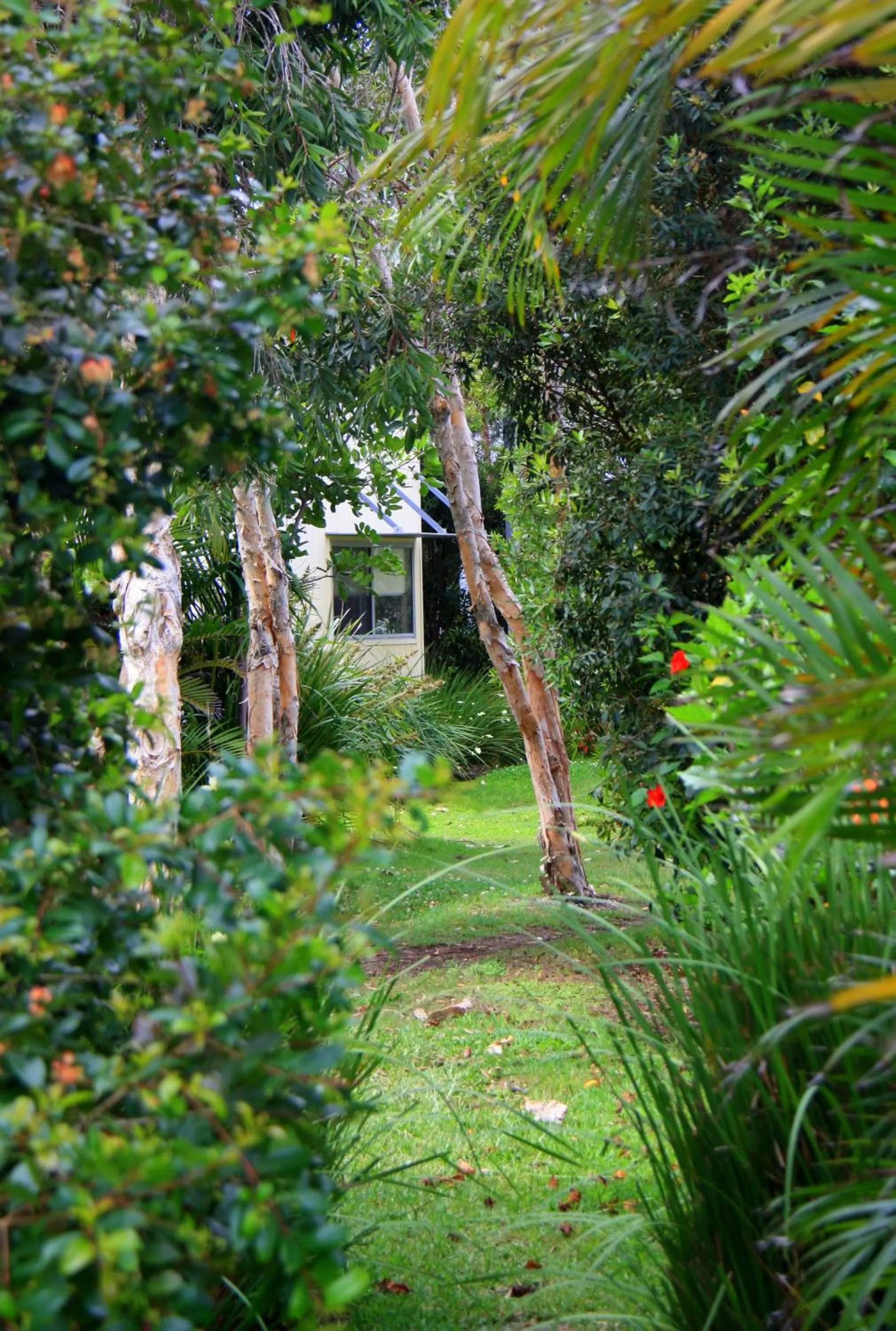 Garden in Mobys Beachside Retreat
