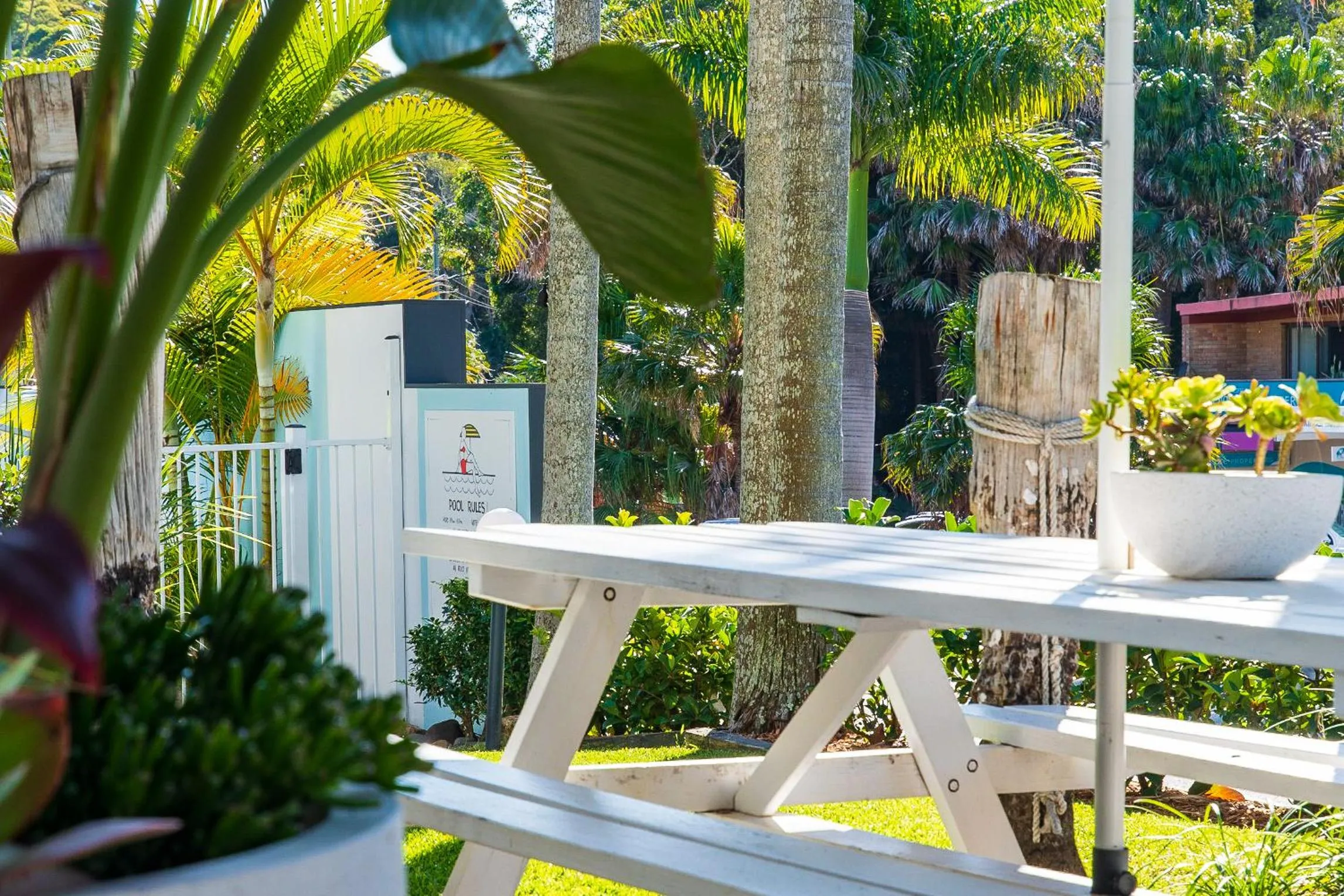 Garden in Blueys Motel