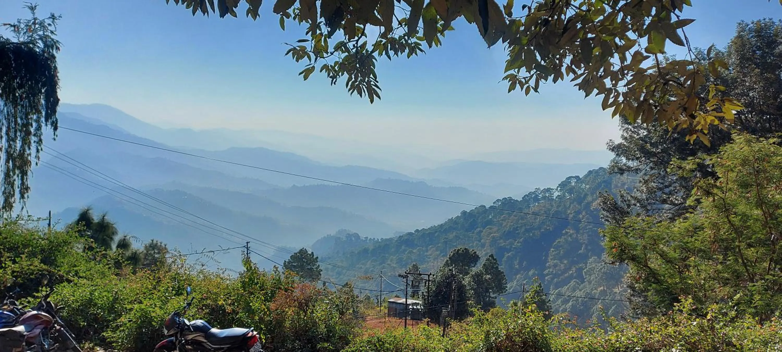 View (from property/room) in Blue Pine Resort