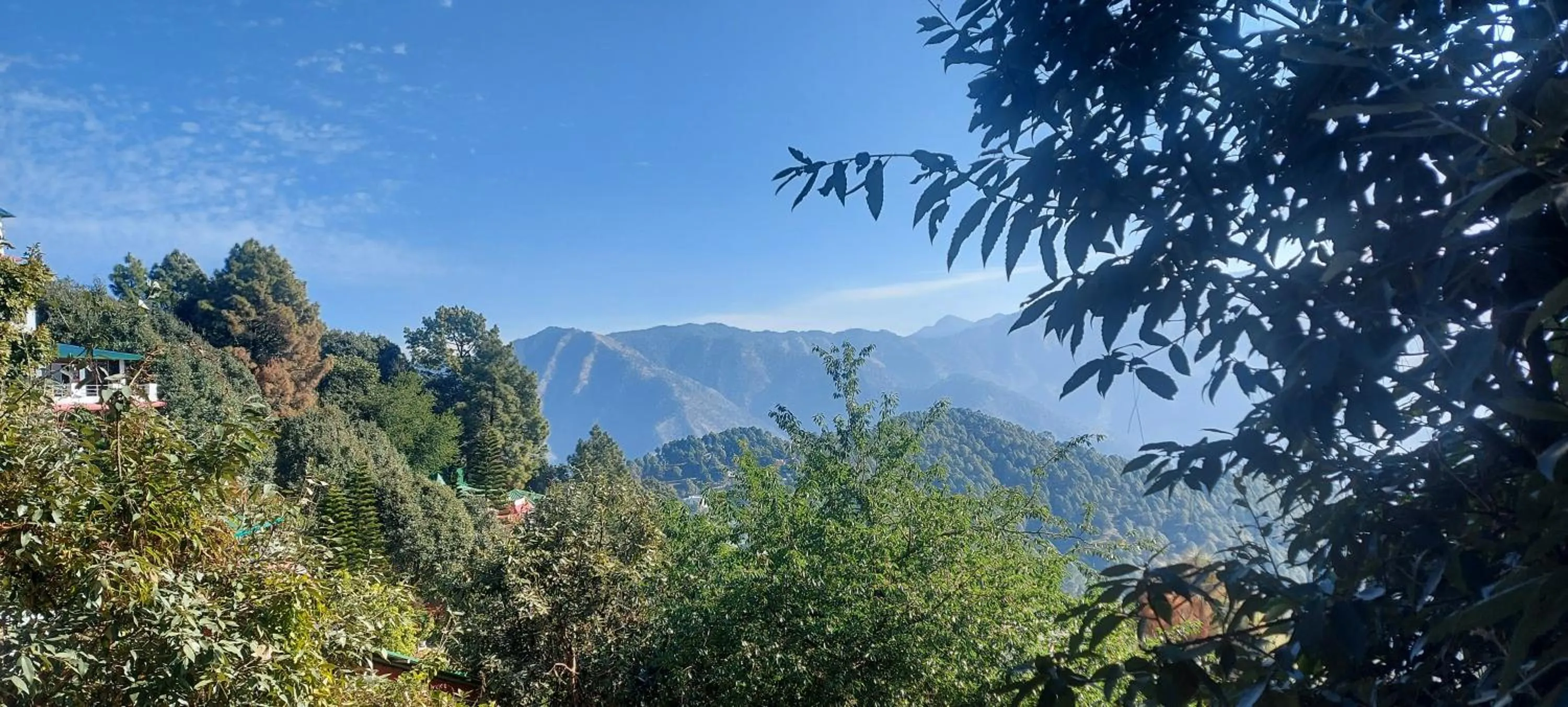 Garden in Blue Pine Resort