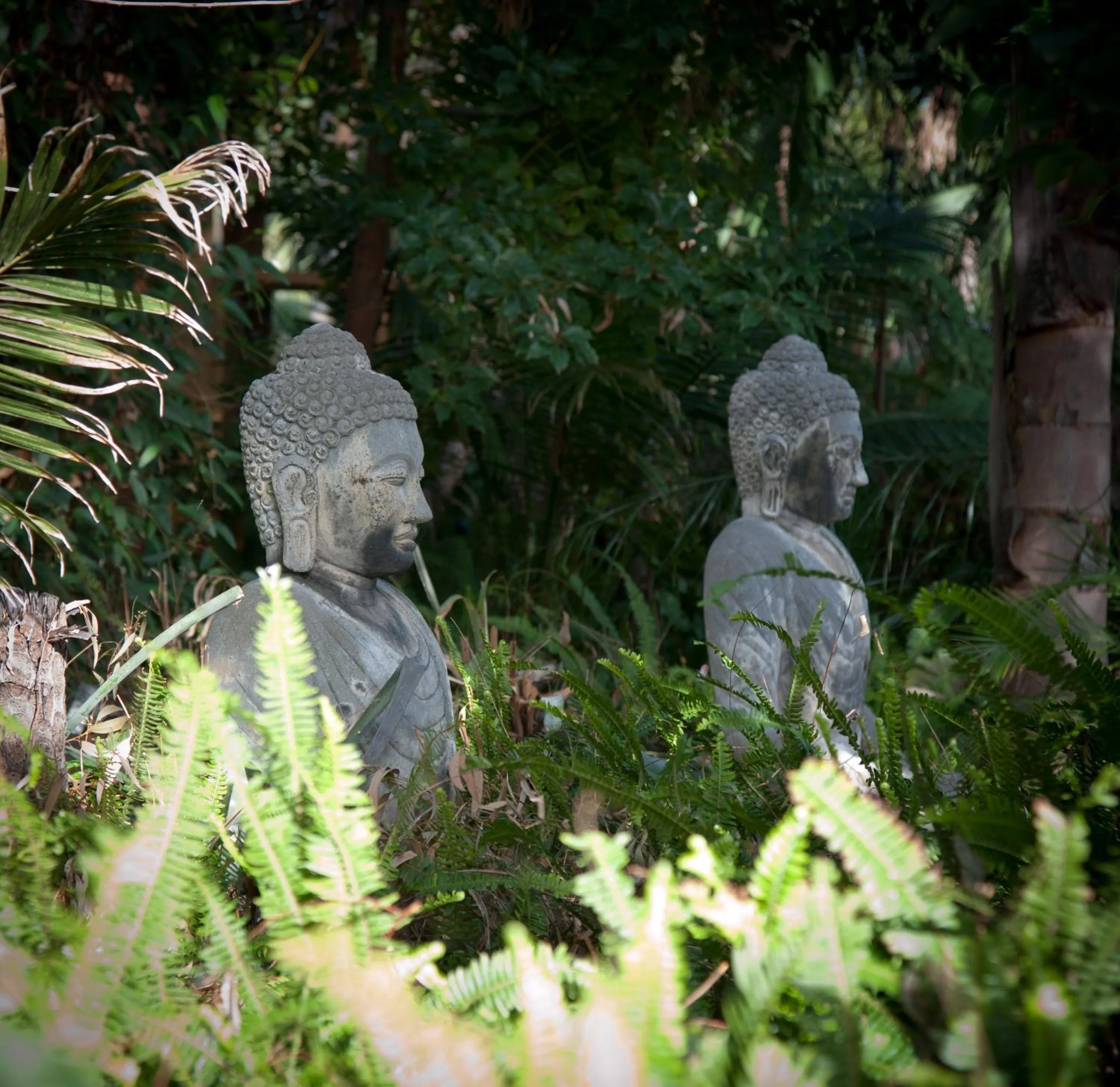 Garden in Sportsmans Motor Inn