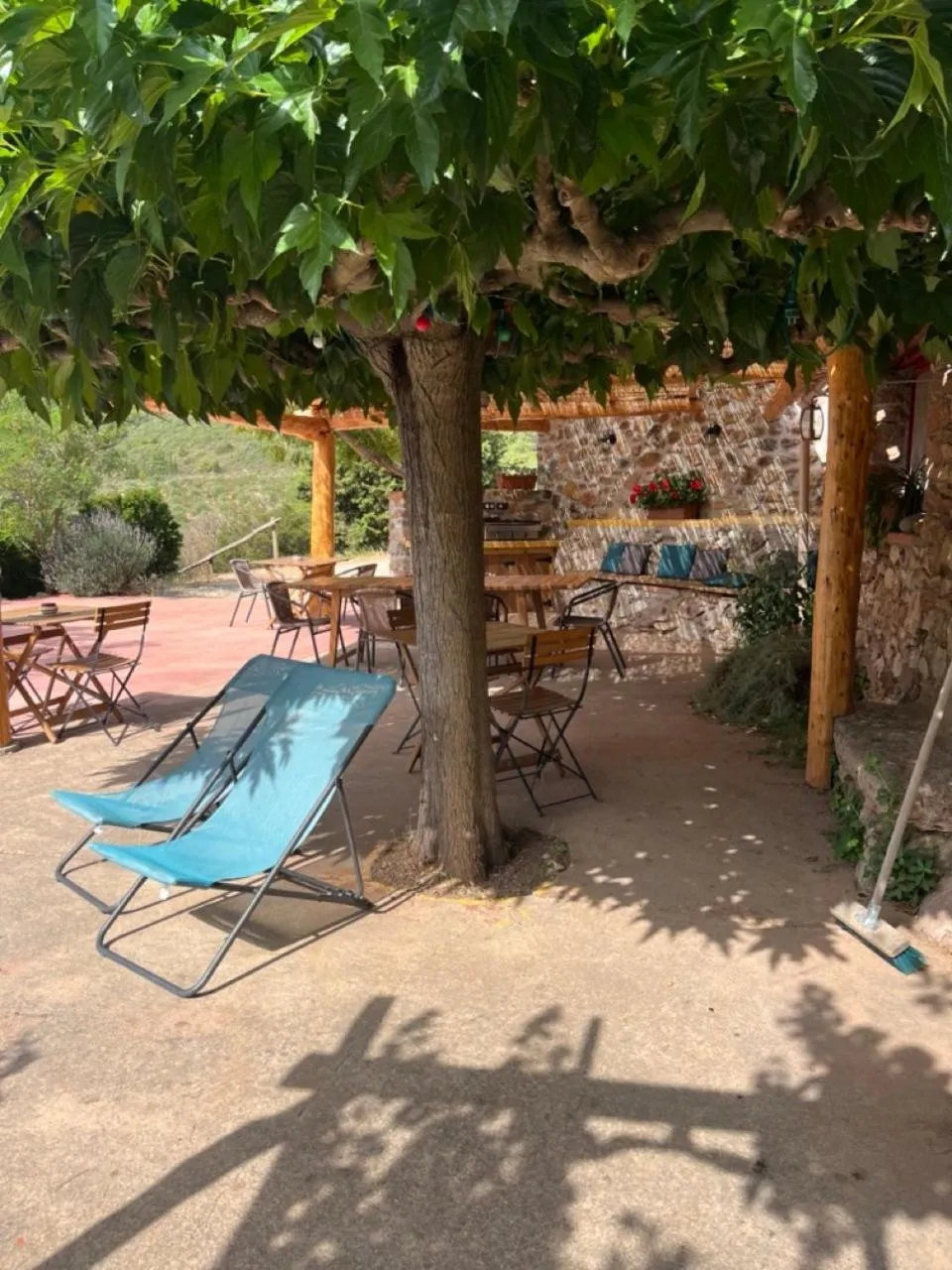 sunbed in Chambres d'hôtes Gîte Saint Roch
