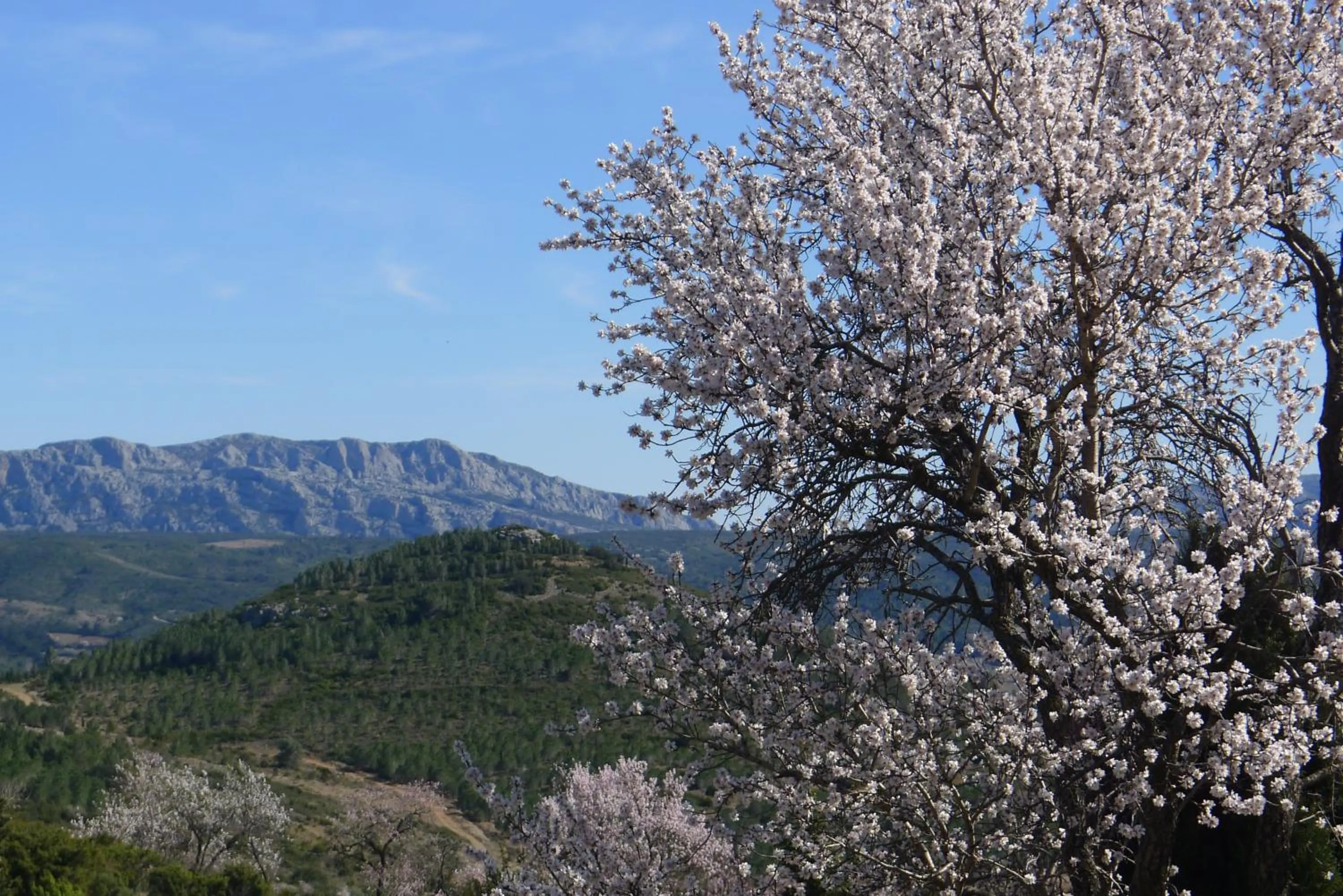 Spring in Chambres d'hôtes Gîte Saint Roch