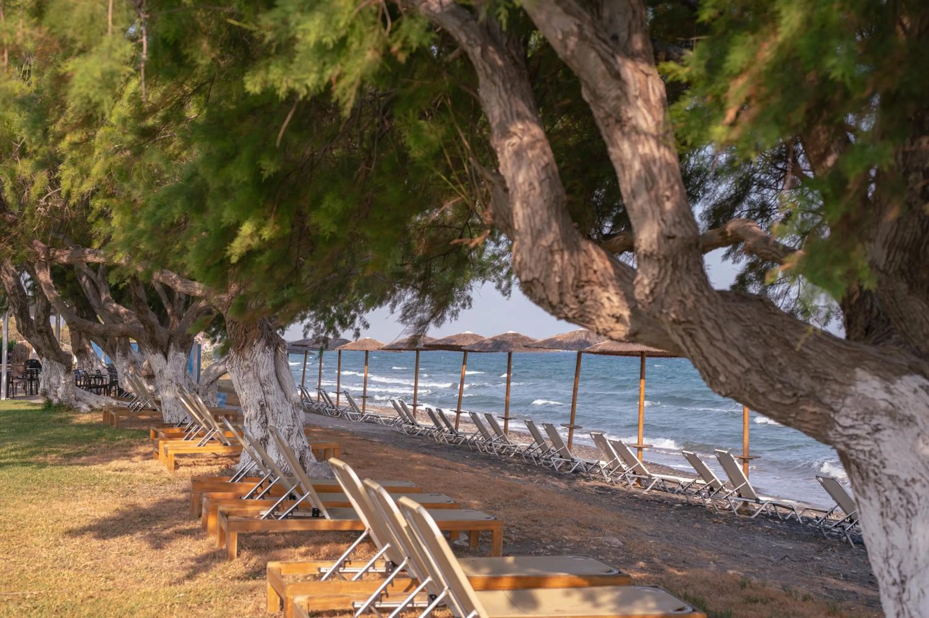 Beach in Costa Angela Seaside Resort