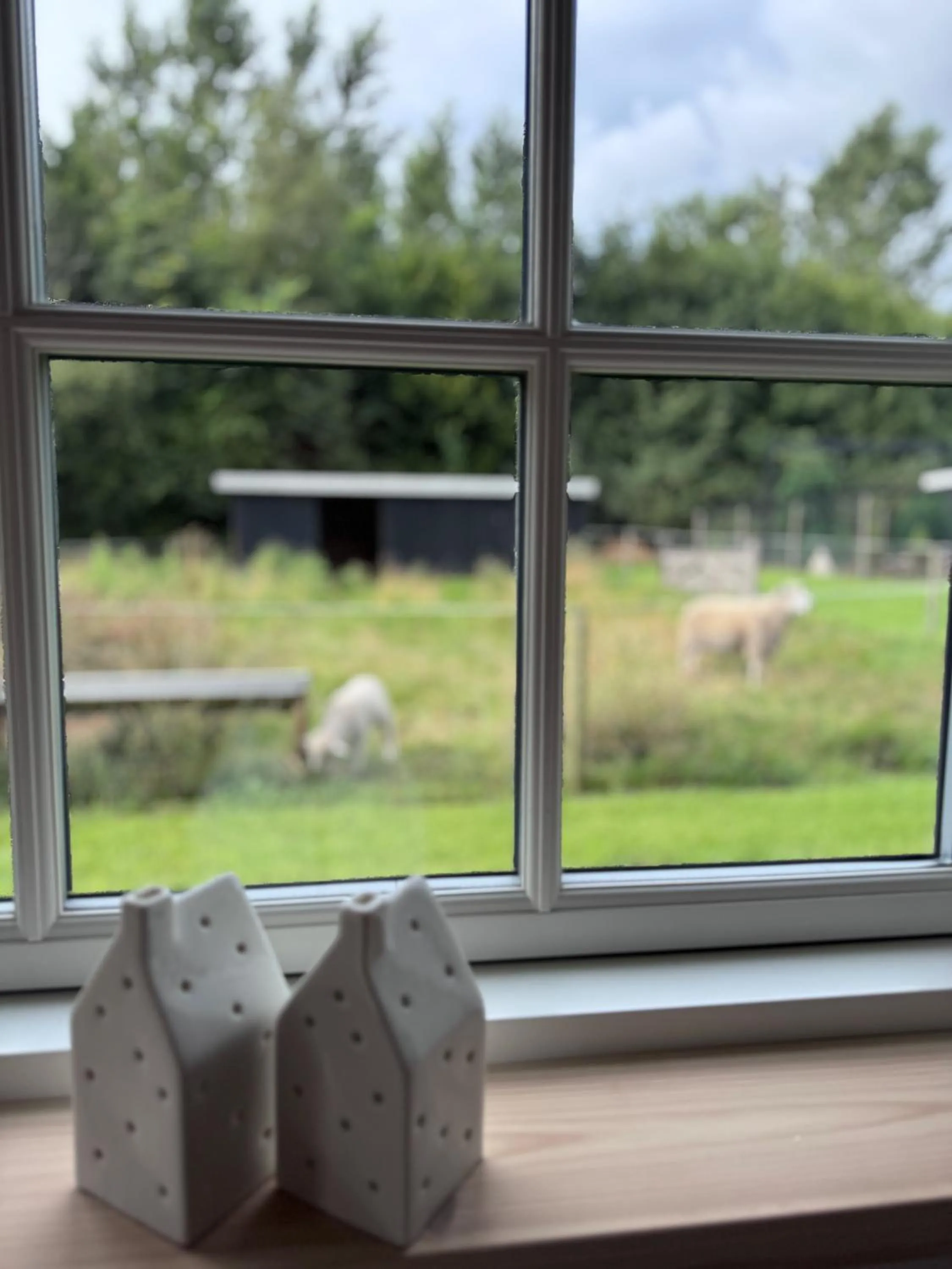 Garden in Pension Lærkelill