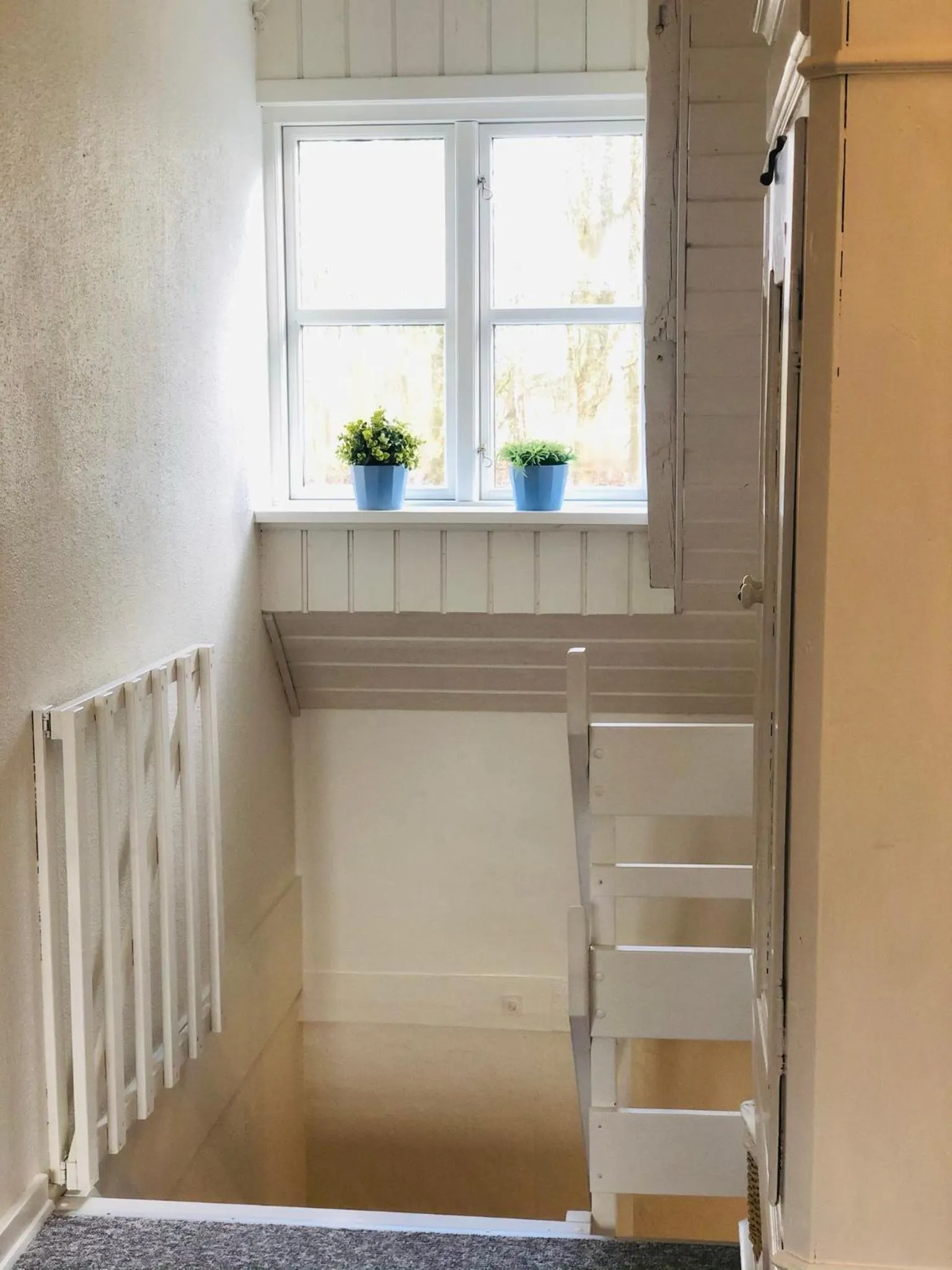 Photo of the whole room in Pension Lærkelill