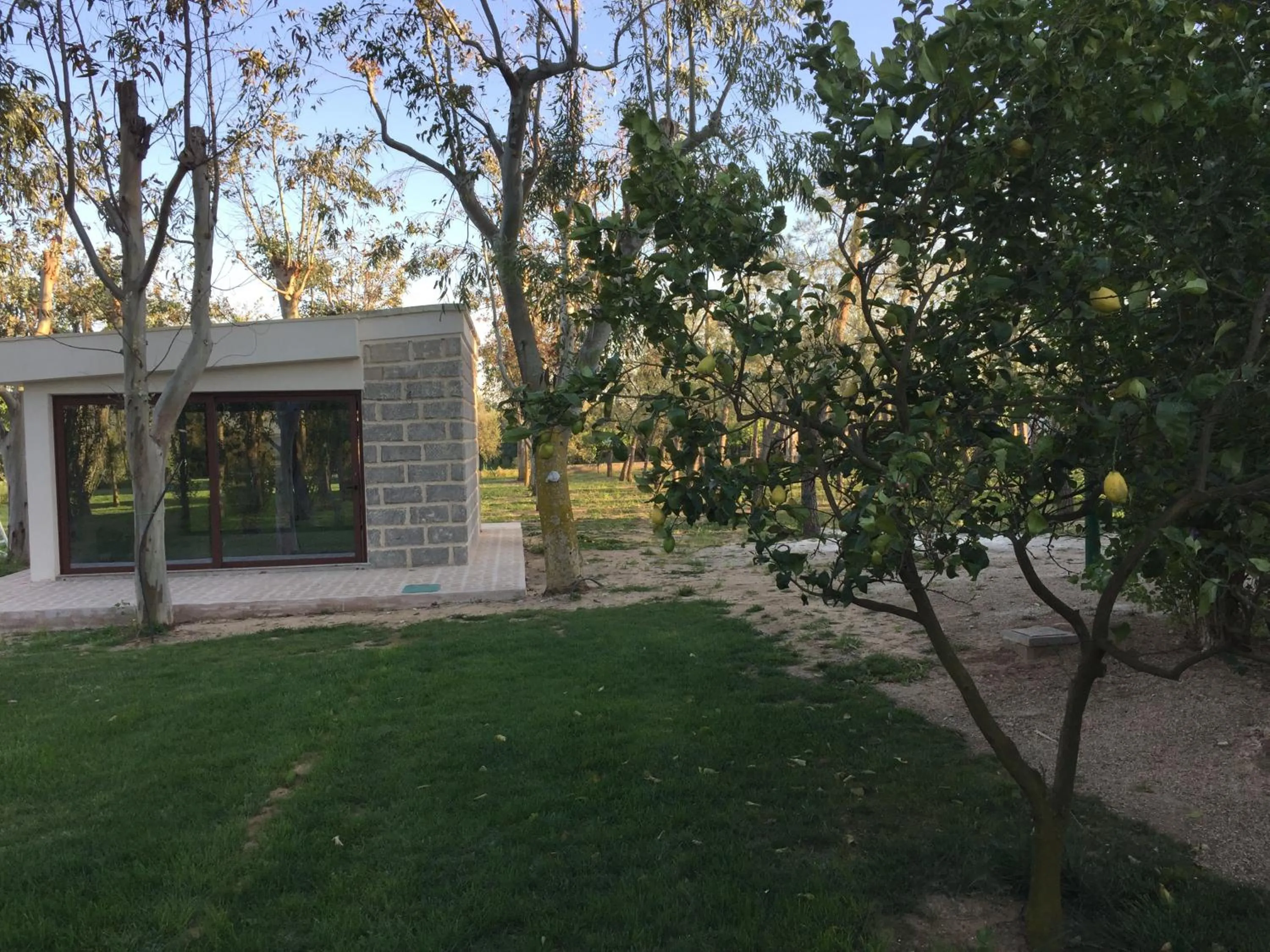 Tenuta Monaci La Murra