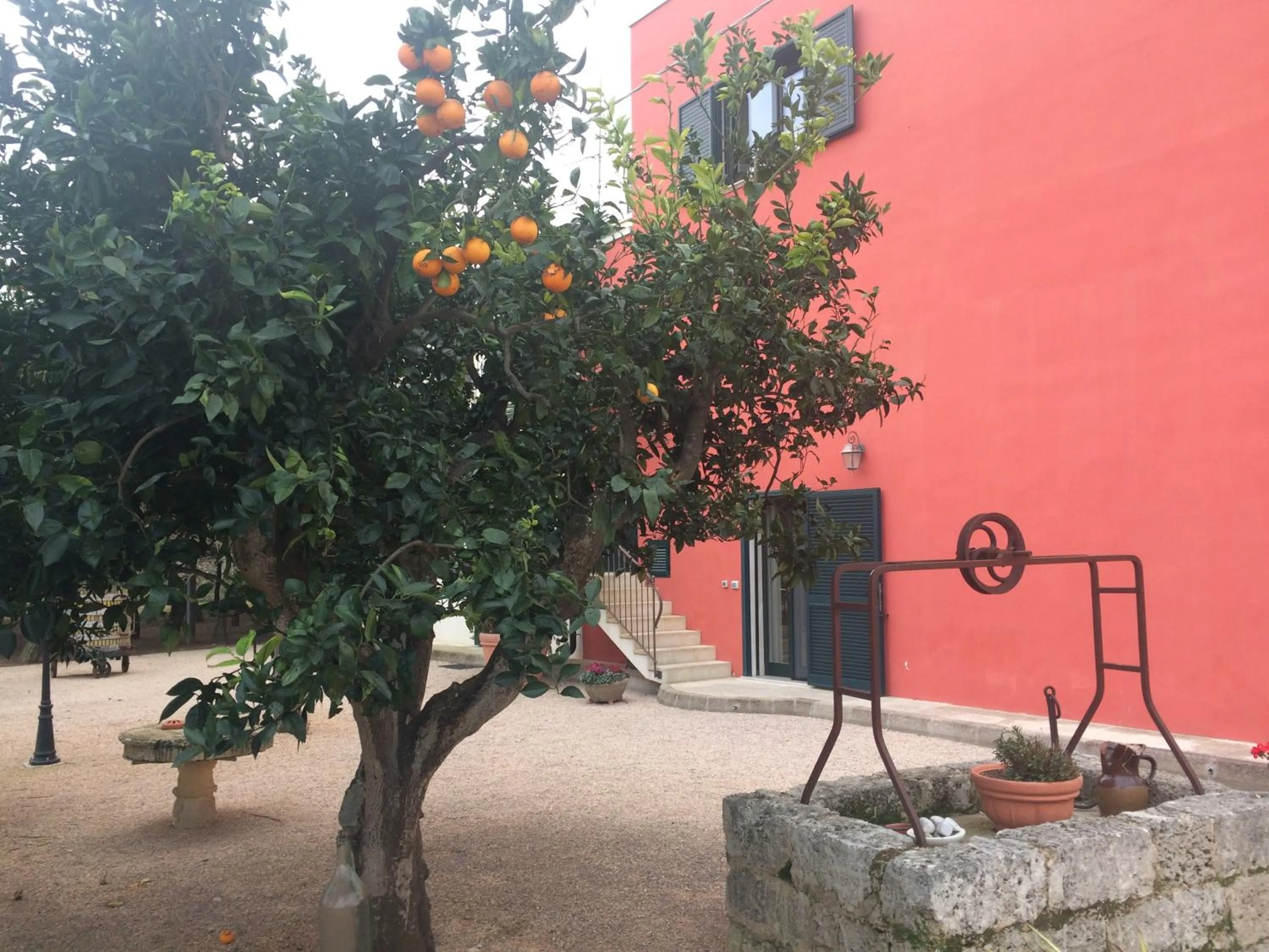 Tenuta Monaci La Murra