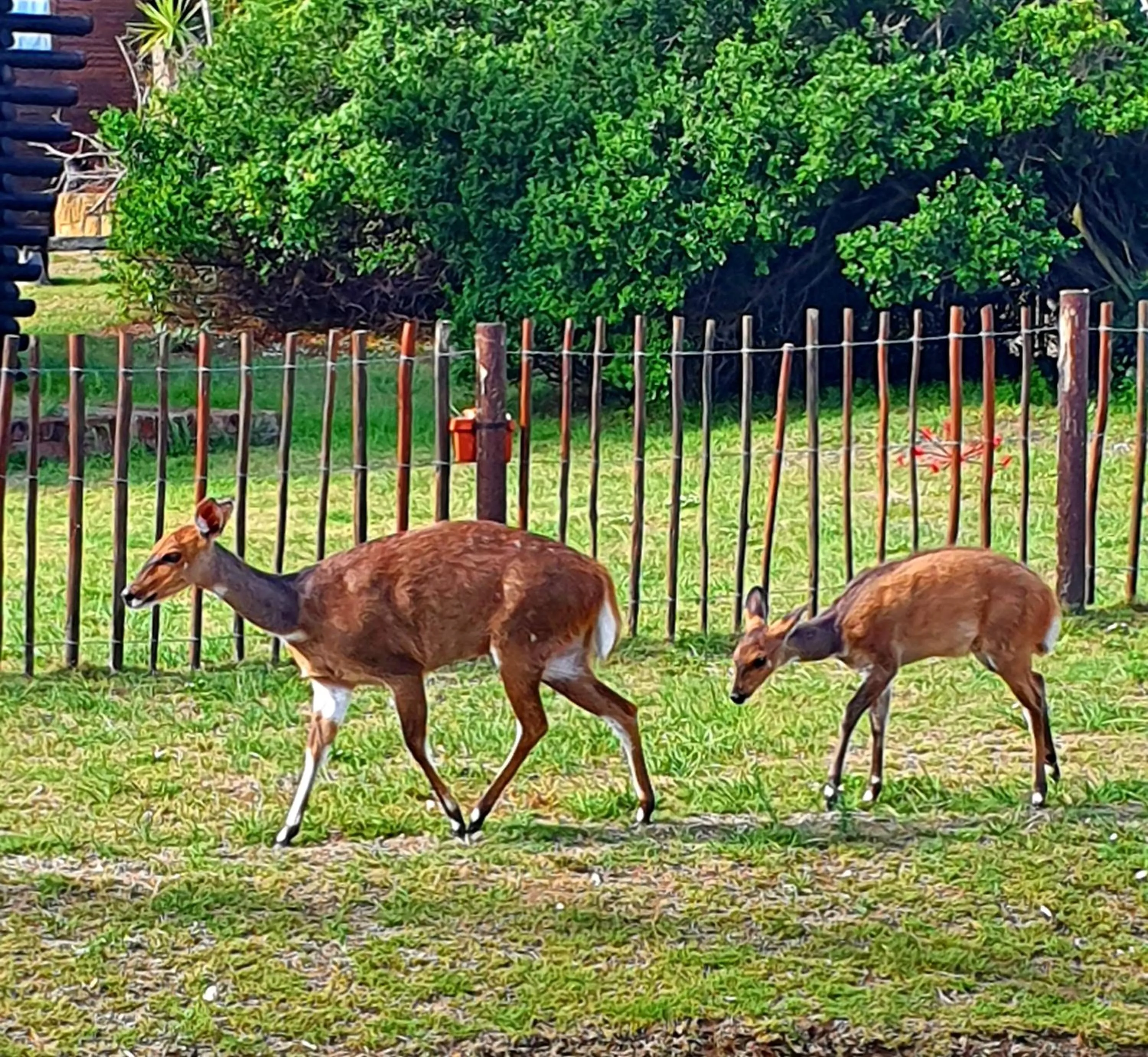 View (from property/room) in Brenton On The Rocks