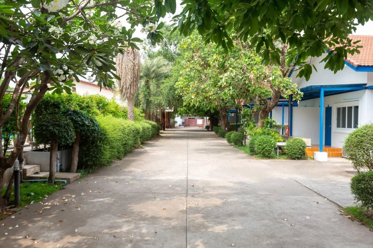 Garden view in Sky View Resort Buriram