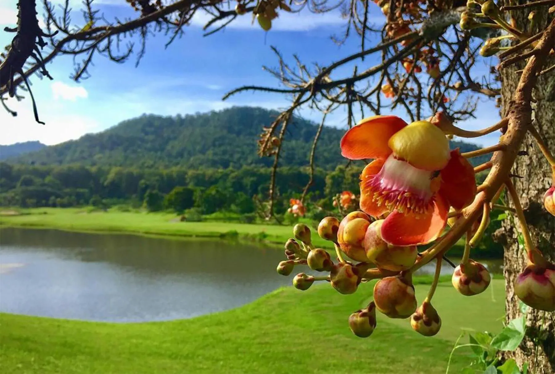 Natural landscape in Gassan Khuntan Golf & Resort