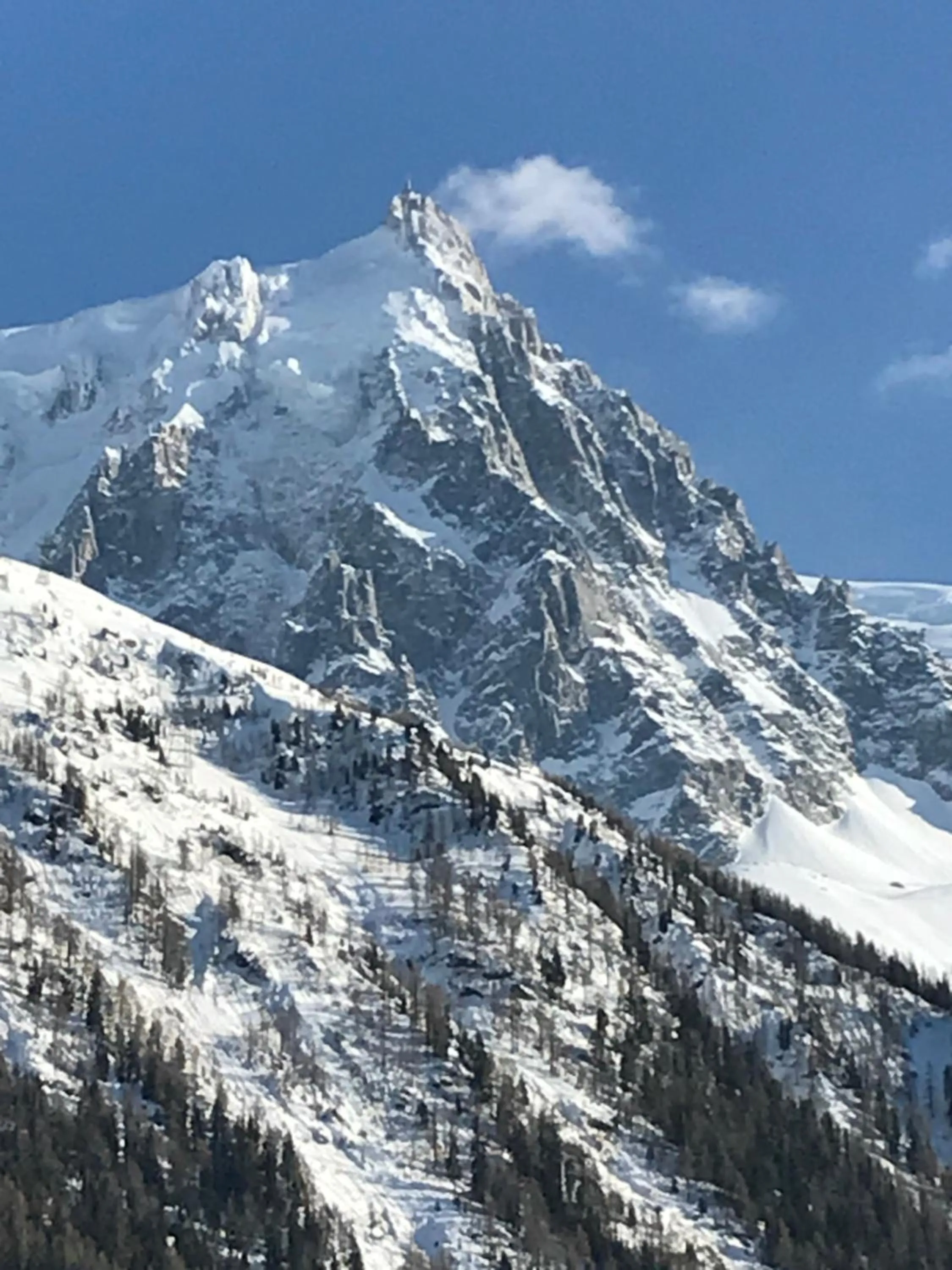 Appart'Hotel Aiguille Verte & Spa