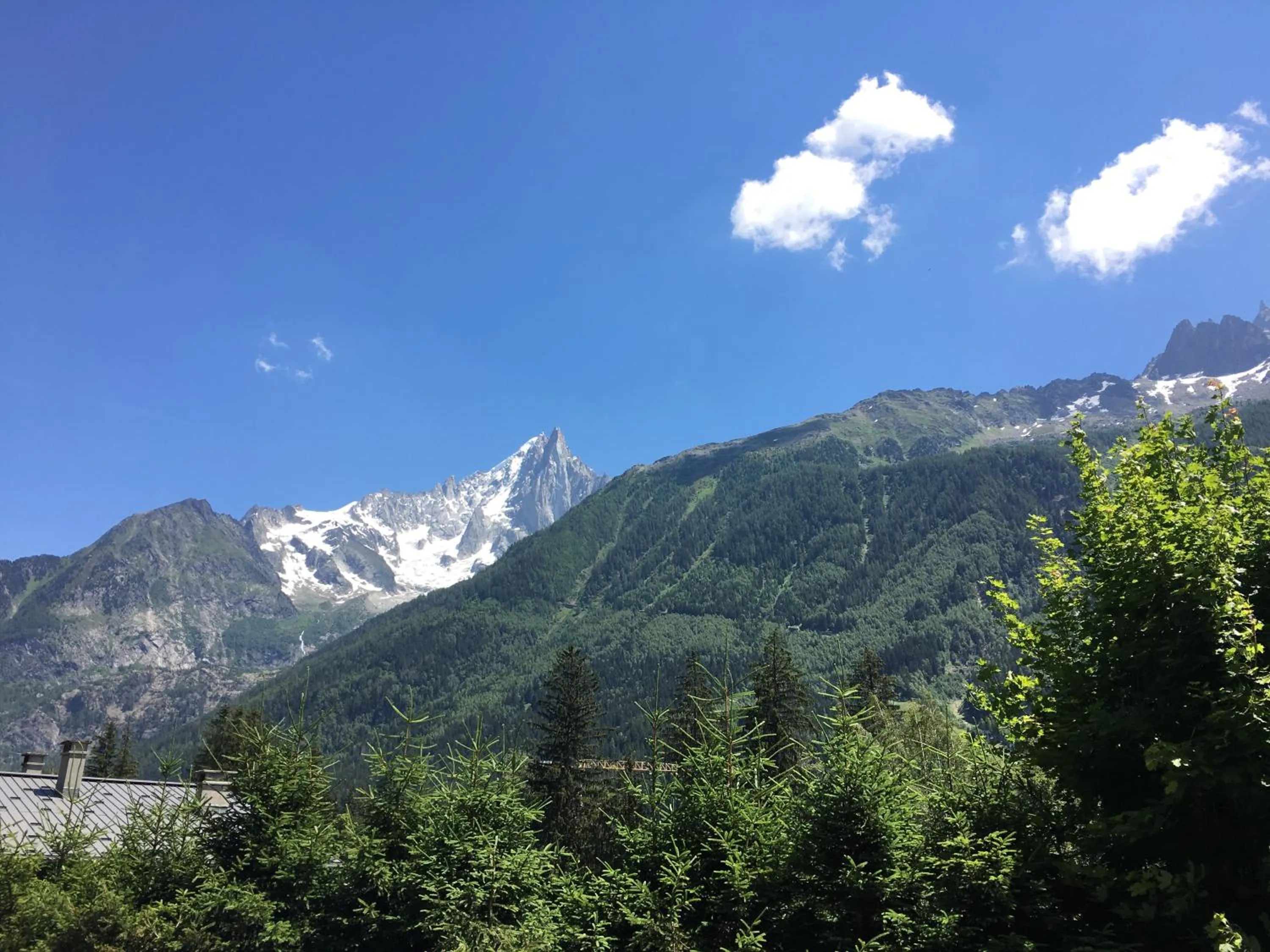 Appart'Hotel Aiguille Verte & Spa